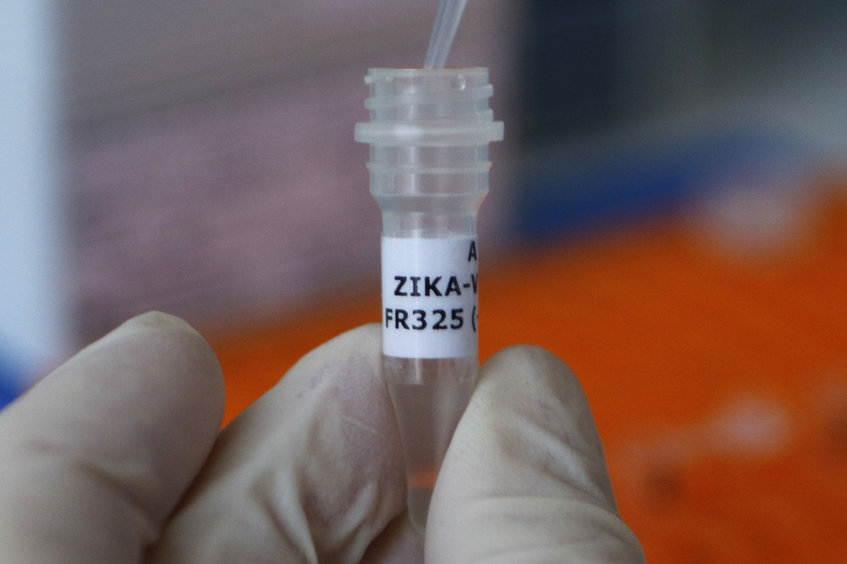 Mosquito; dengue; zika