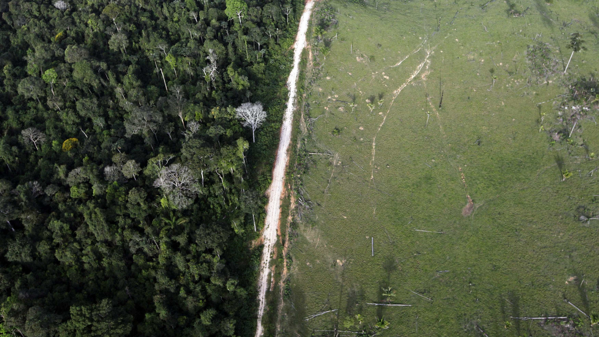 Retrocesso ambiental no Brasil pode custar R$ 20 tri ao resto do mundo