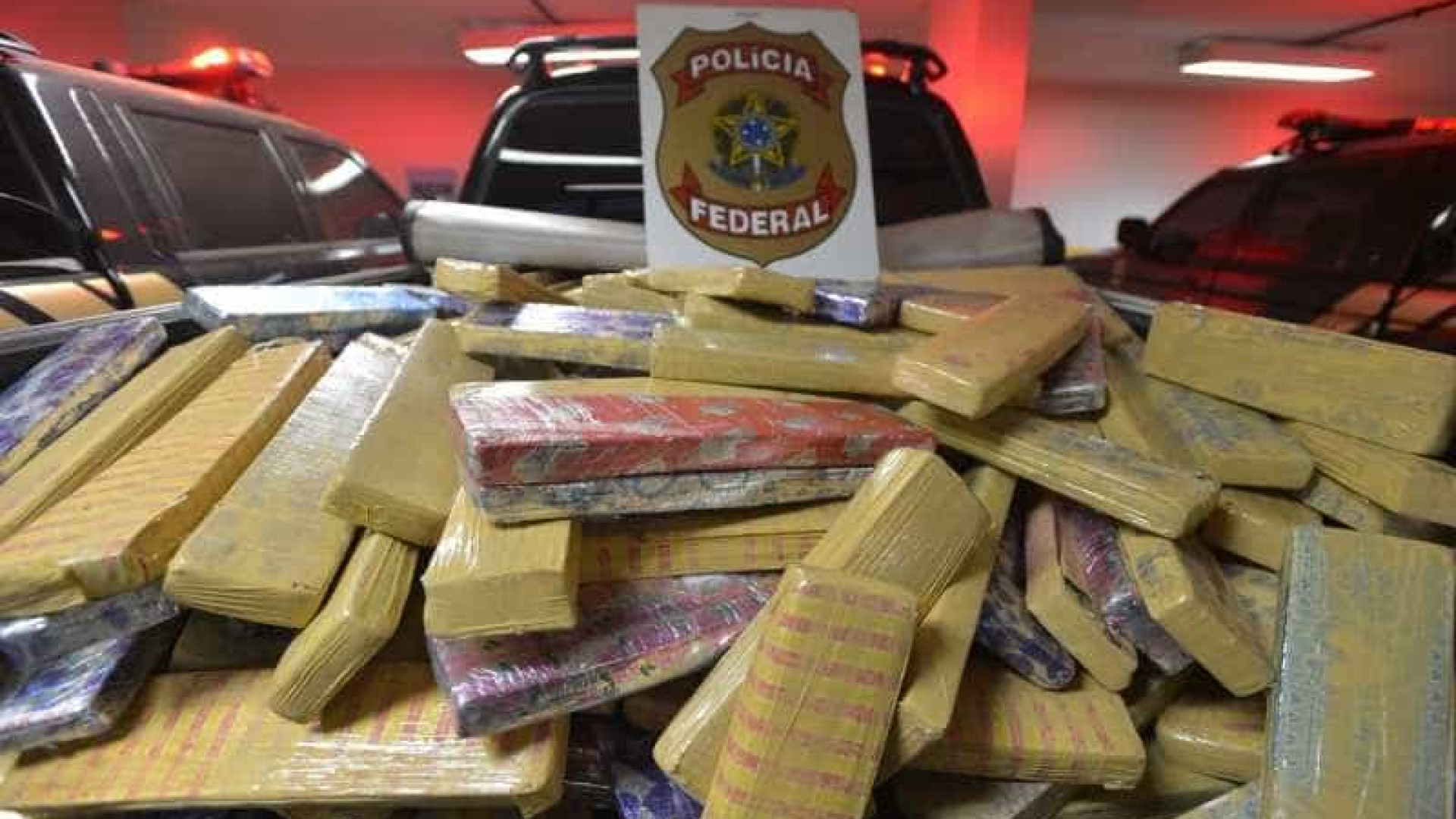 Polícia Federal faz provável maior apreensão de maconha no ano