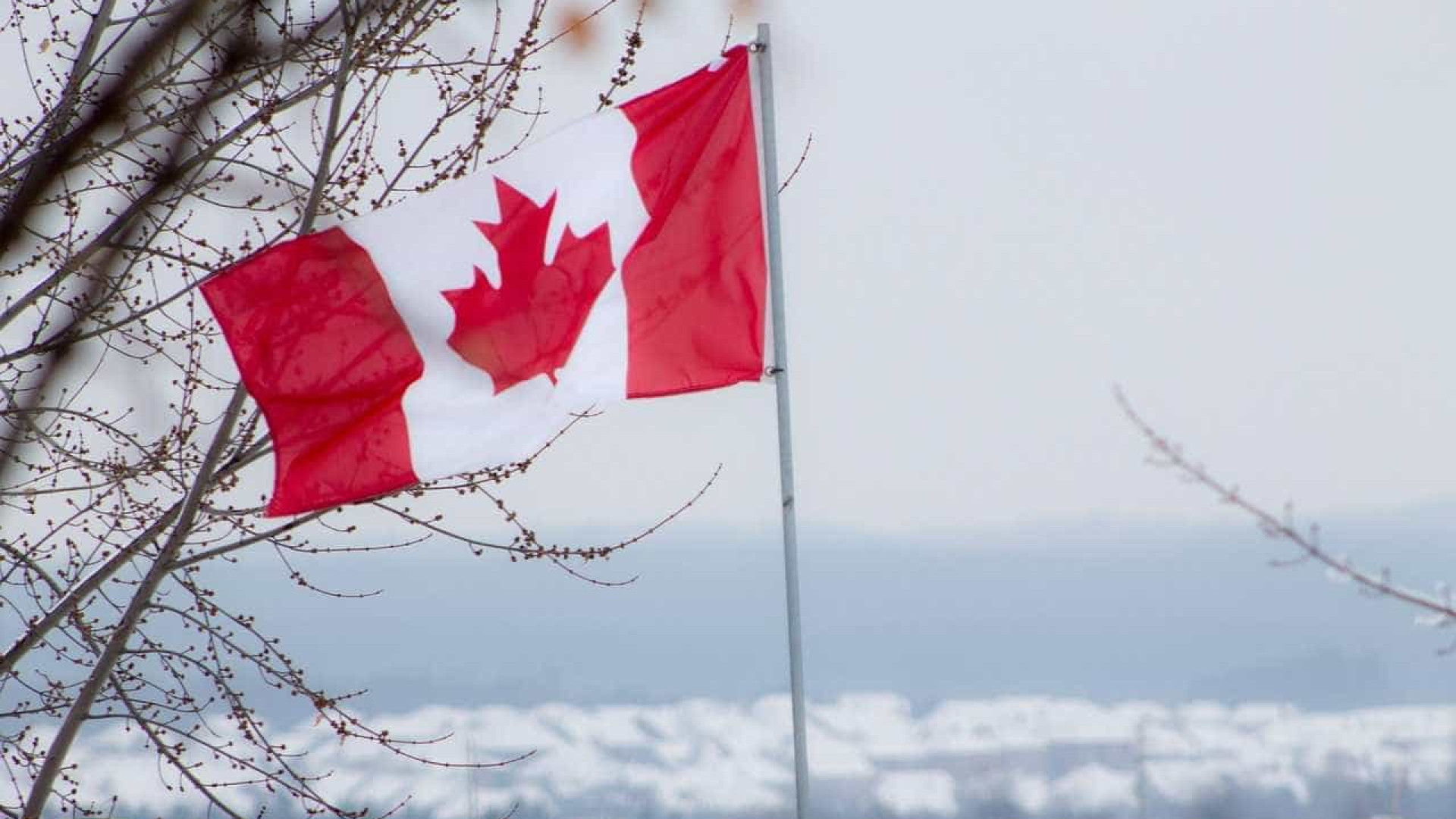 Cresce número de grupos racistas e
xenófobos no Canadá