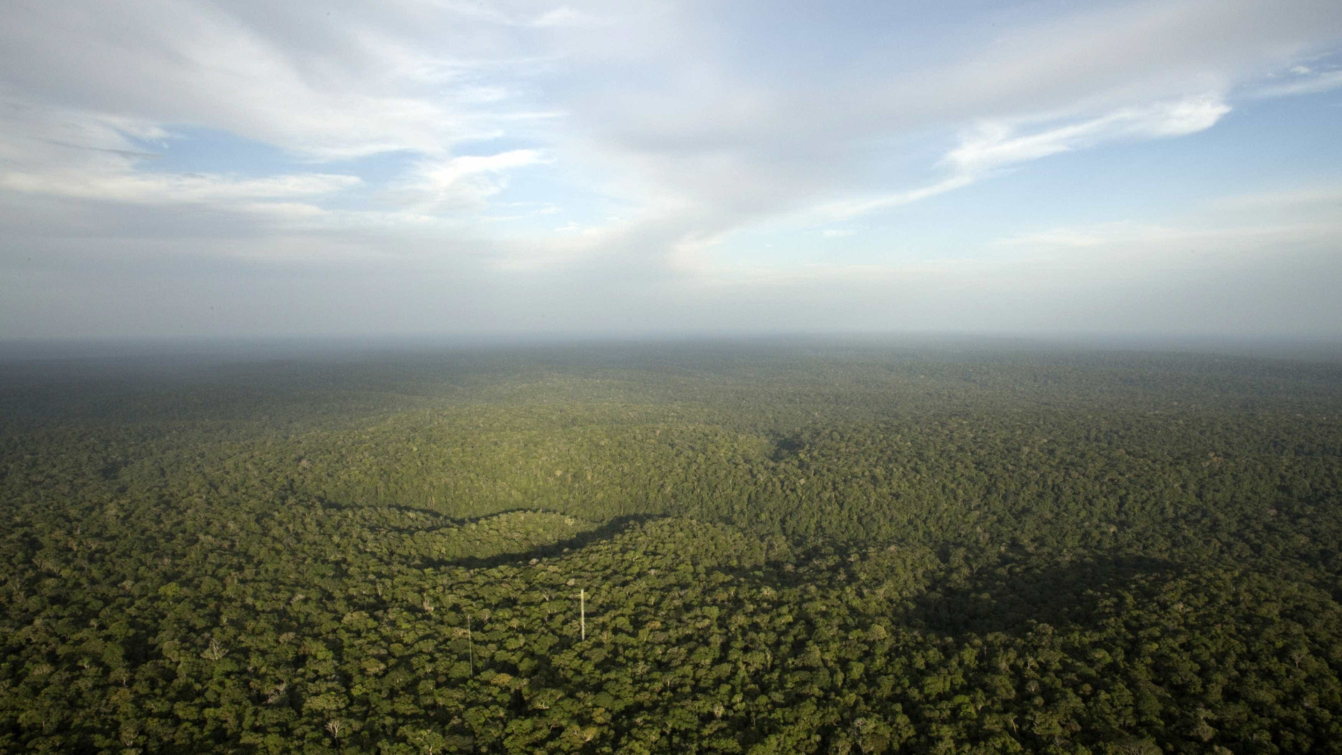 Desmatamento da Amazônia cresce, em um ano, cinco cidades de SP