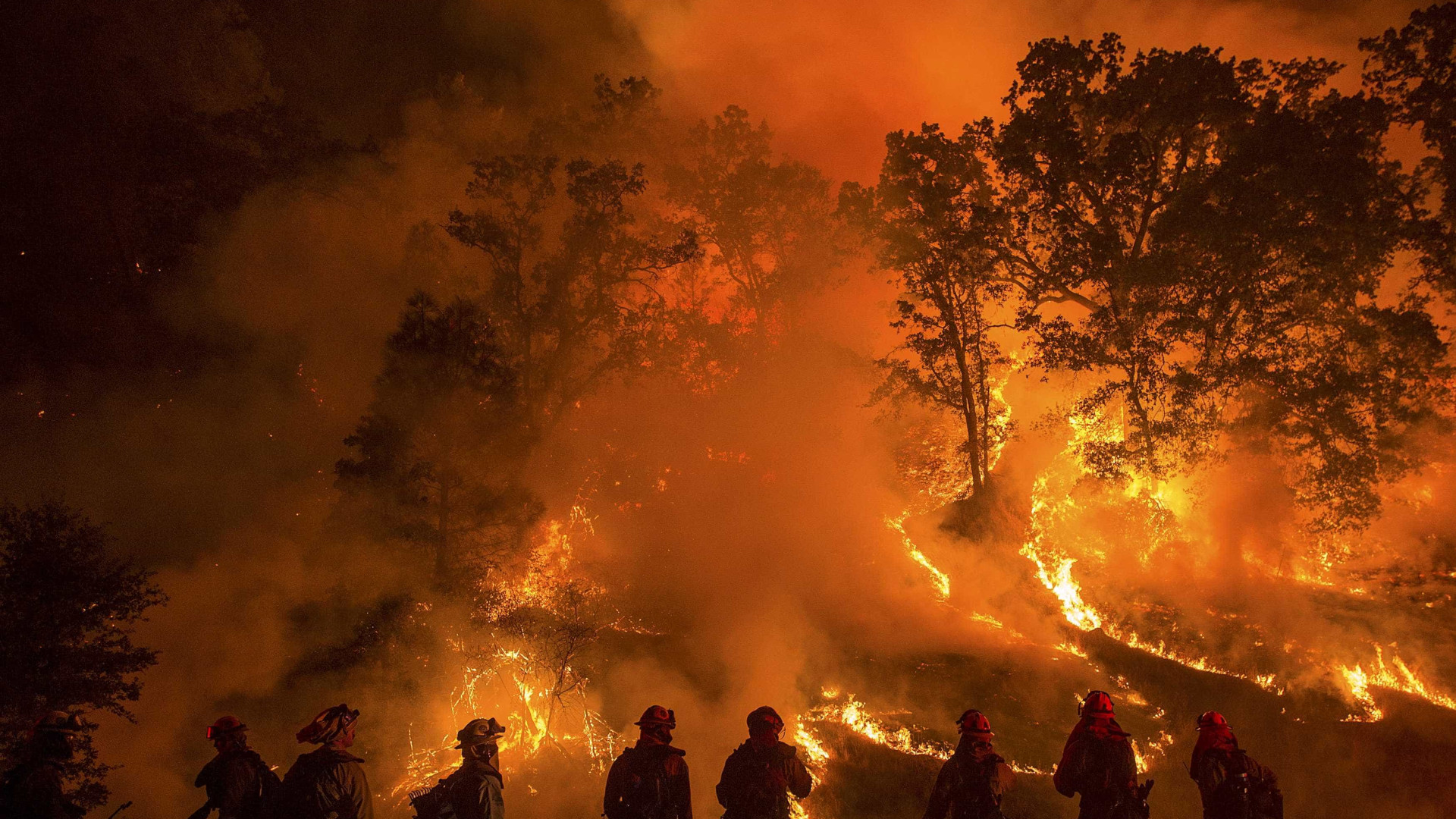Incêndio na Califórnia mata 42 pessoas e destrói 5 mil casas