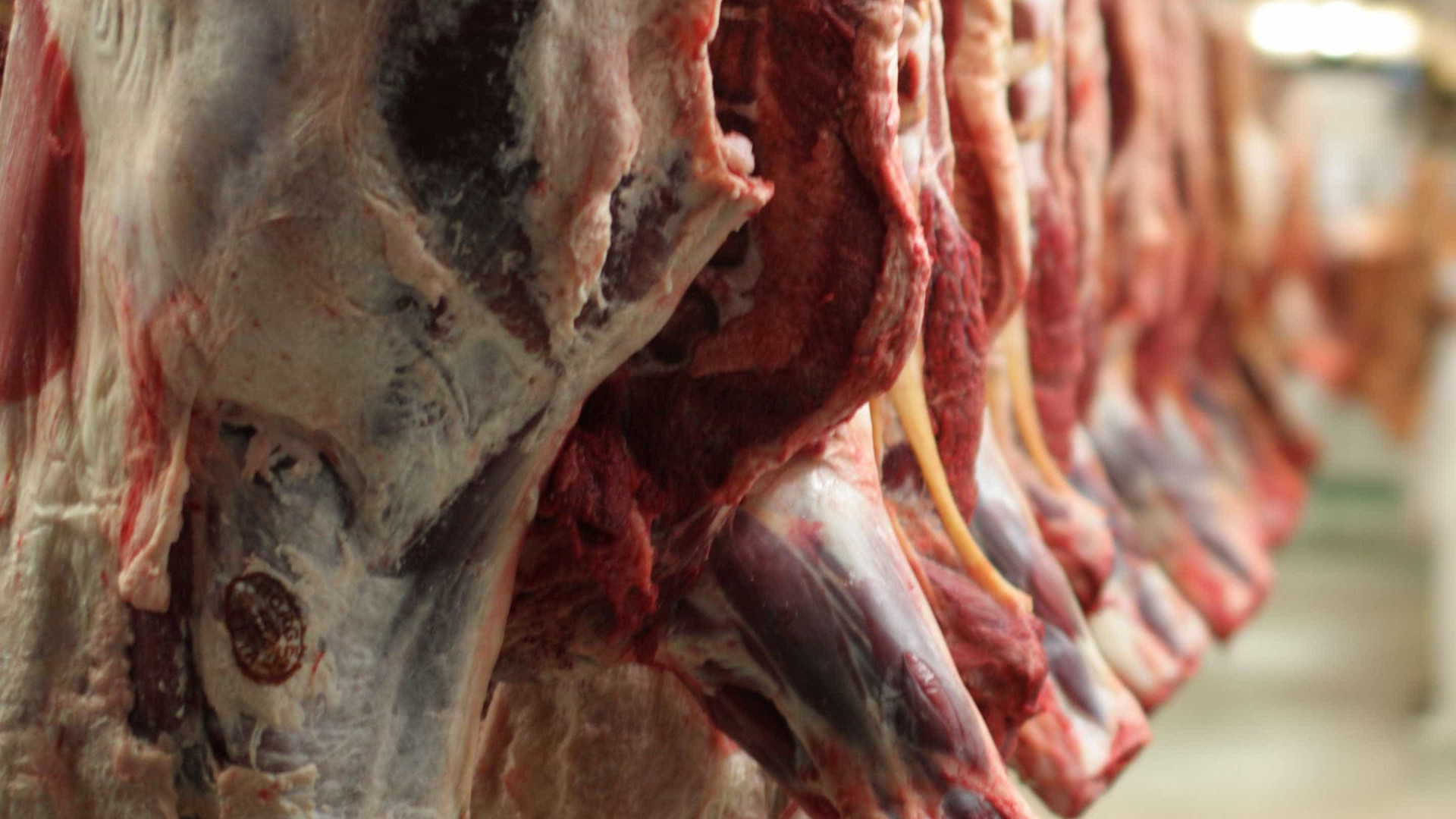 OperaÃ§Ã£o apreende 11 toneladas de carne imprÃ³pria para consumo