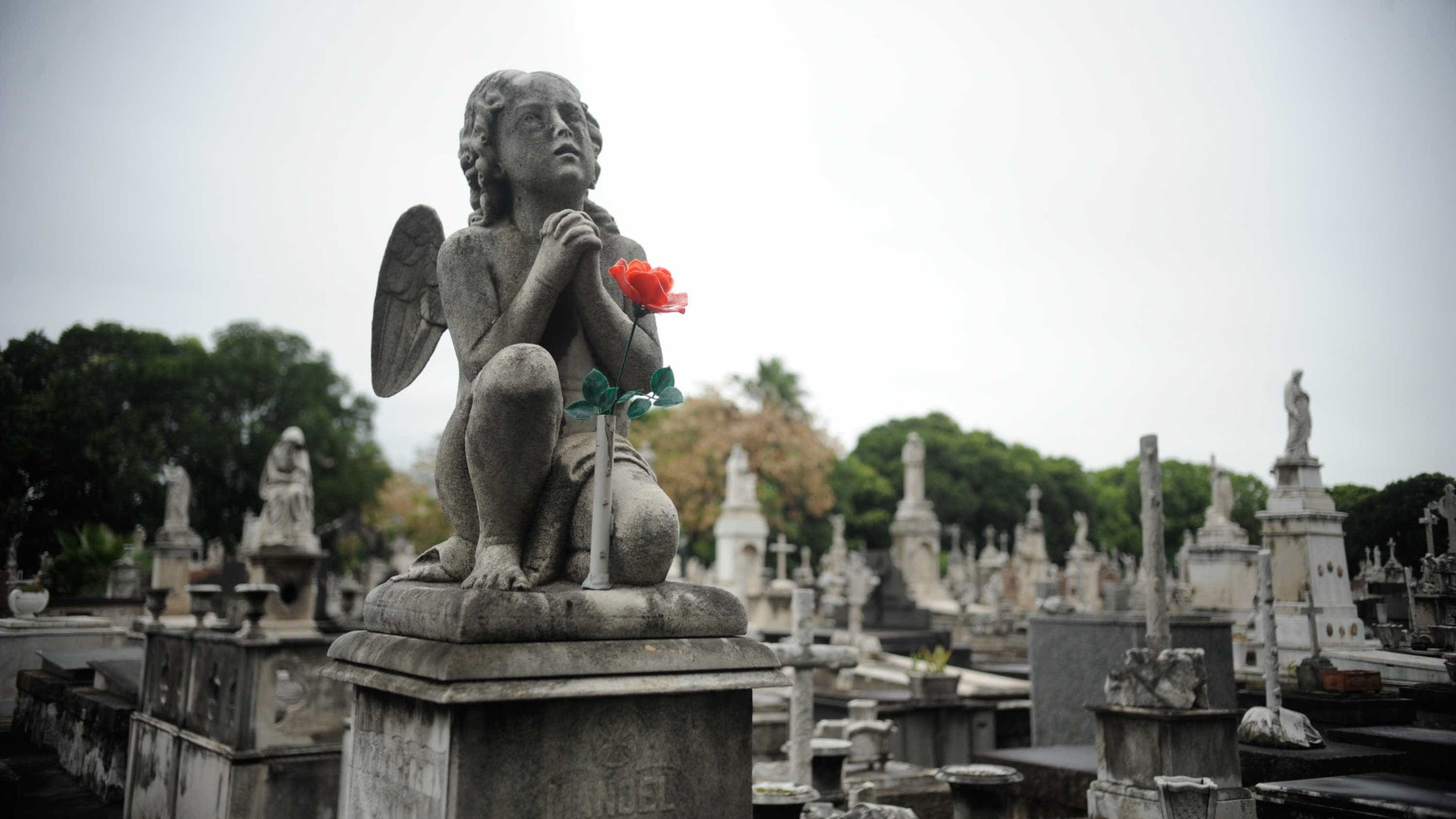 Startups inovam a morte com avatar pós-vida e velório online