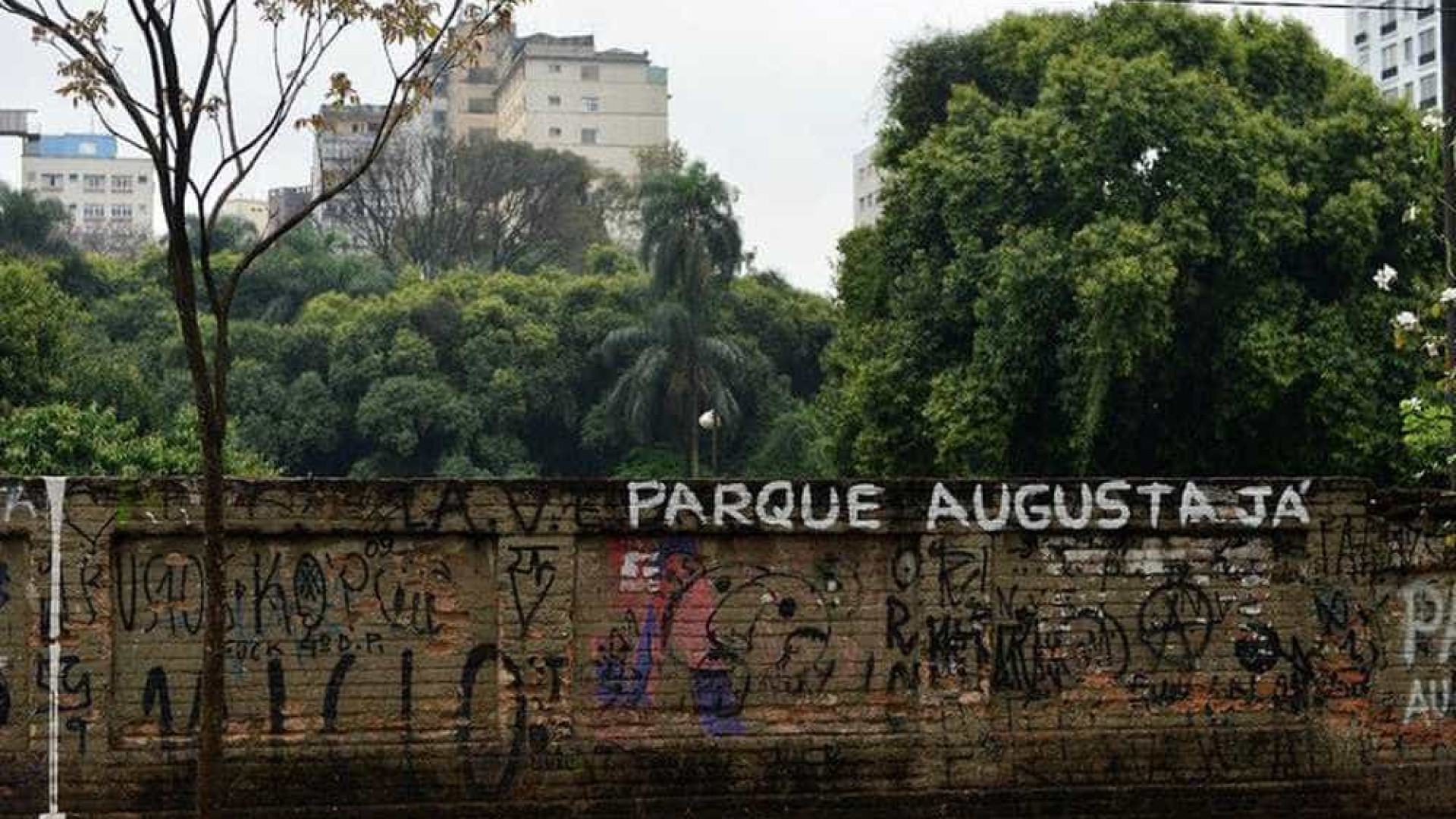 'Não somos poucos', dizem ativistas do parque Augusta
