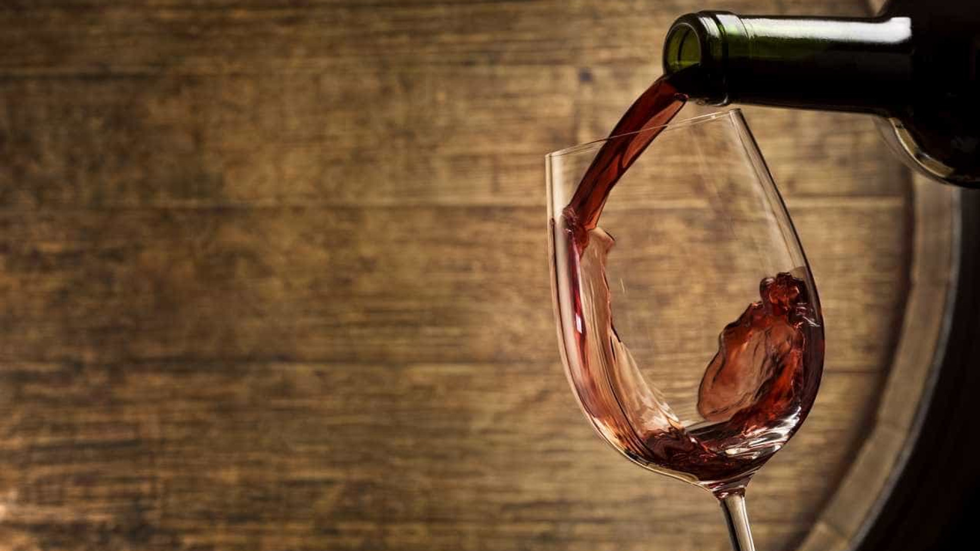 Vinhoteca propõe harmonizar vinhos e livros
