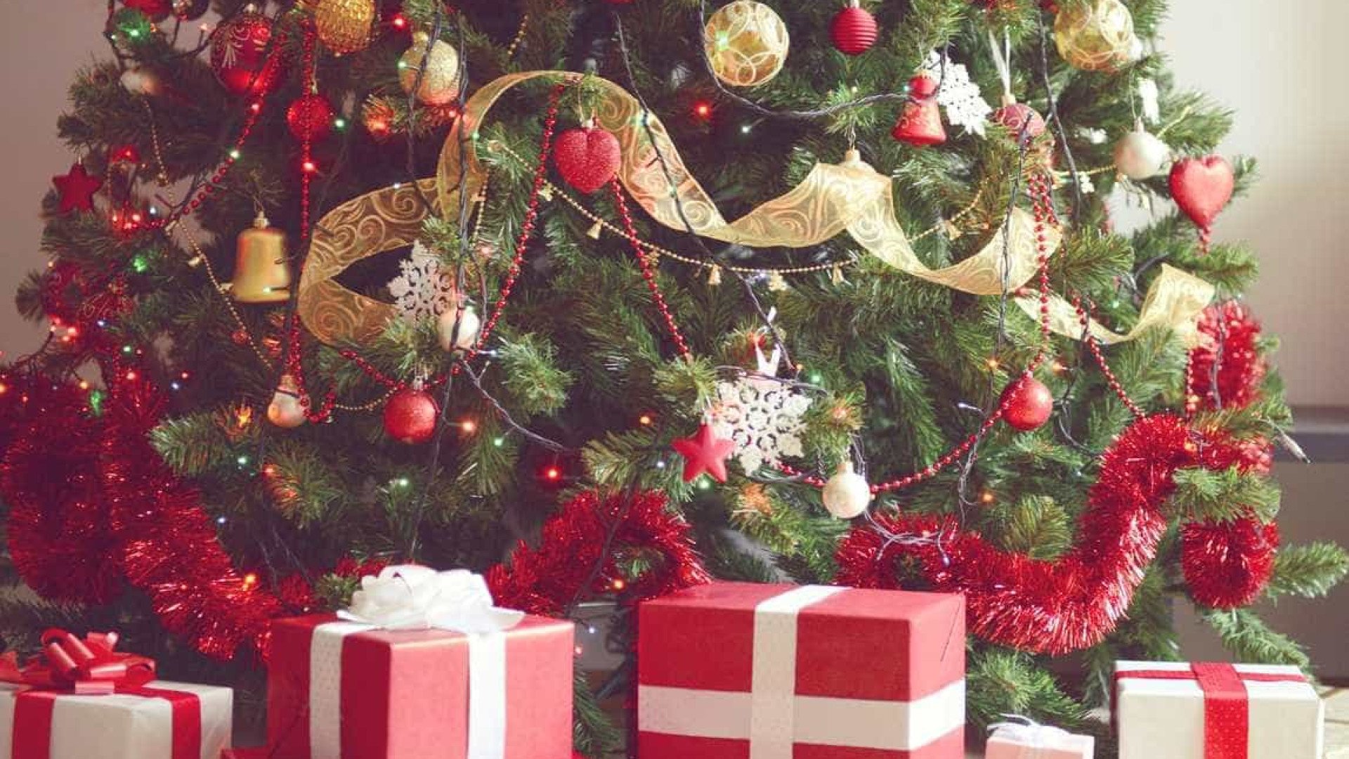 Hoje é dia de montar a árvore de Natal. Mas
sabe o que significa?