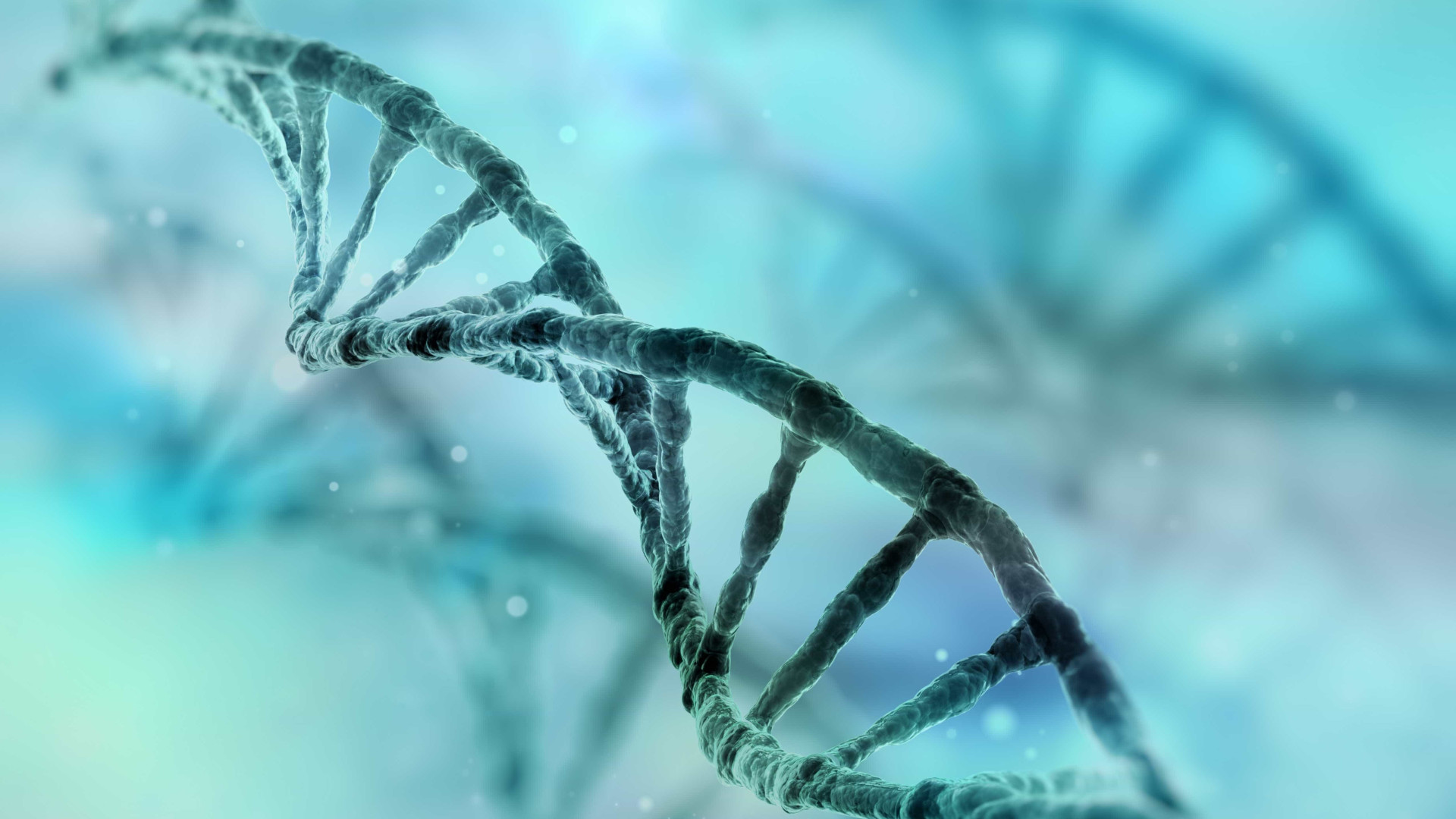 Cientistas criam teste capaz de mapear riscos de se ter câncer