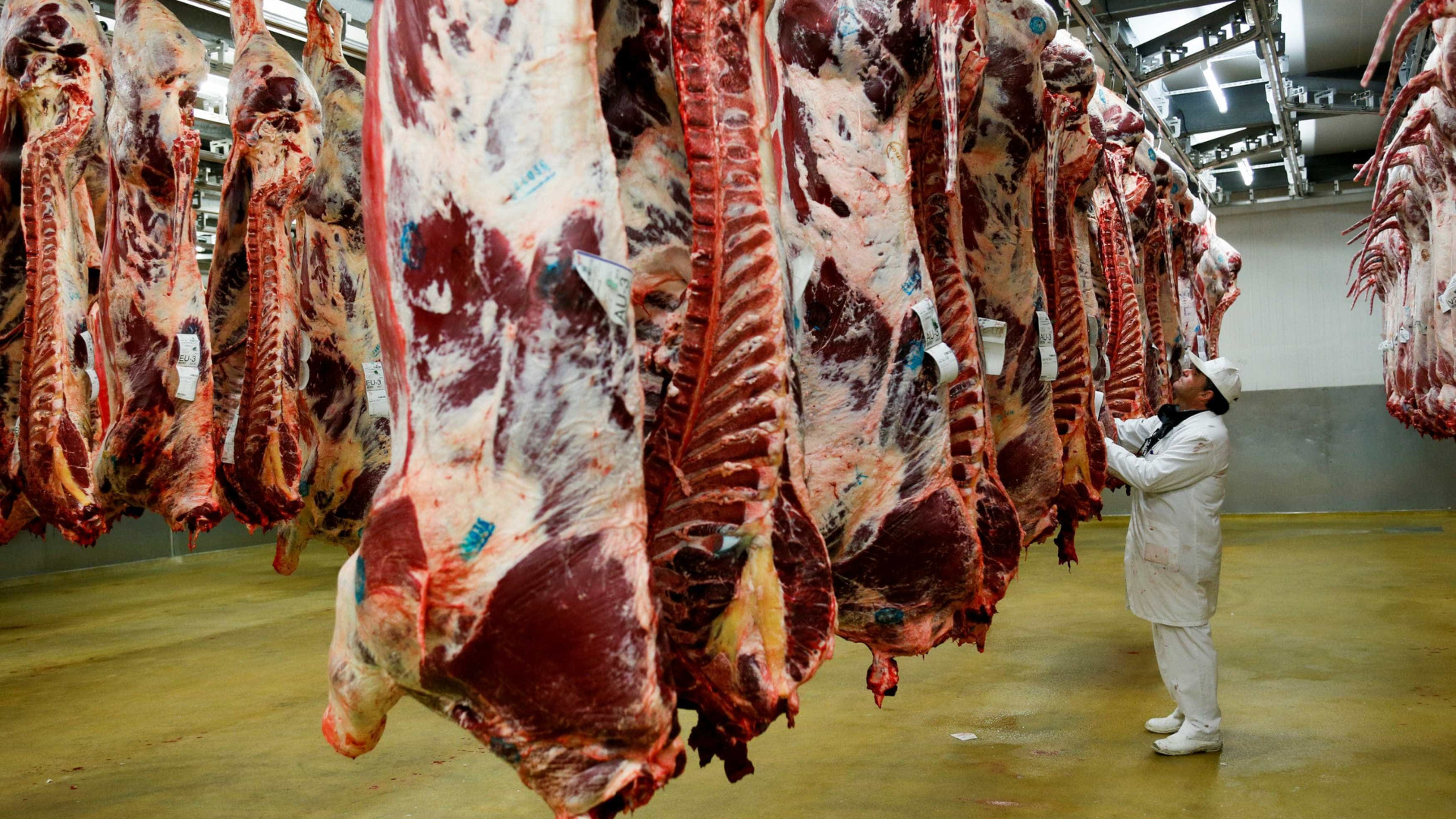 Rússia impõe novas restrições à importação da carne brasileira