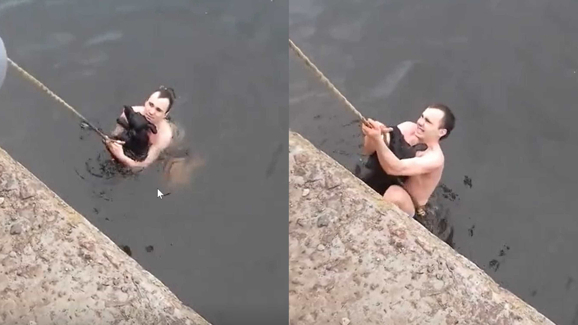 Nem todo herói usa capa: jovem salva cão de lago gelado