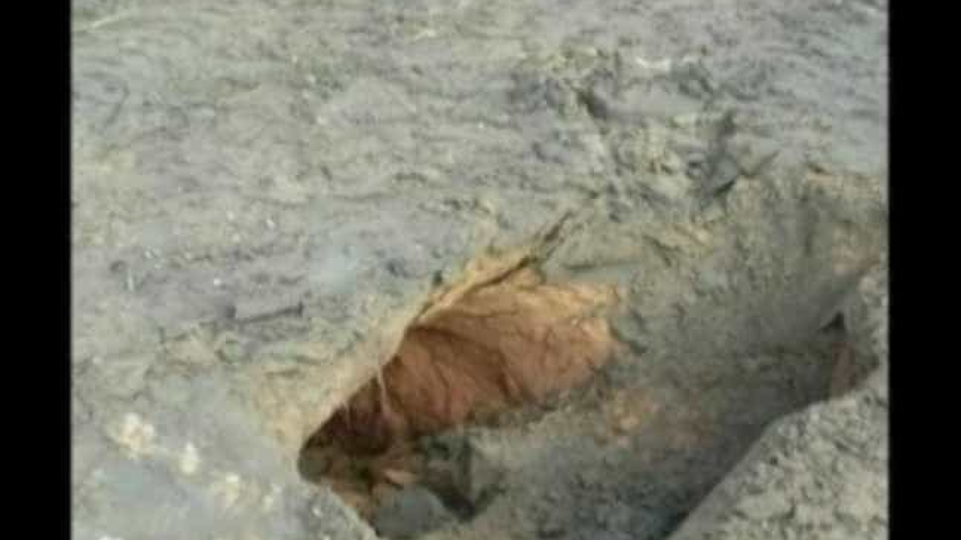 Túnel com dez metros é encontrado em presídio de Roraima