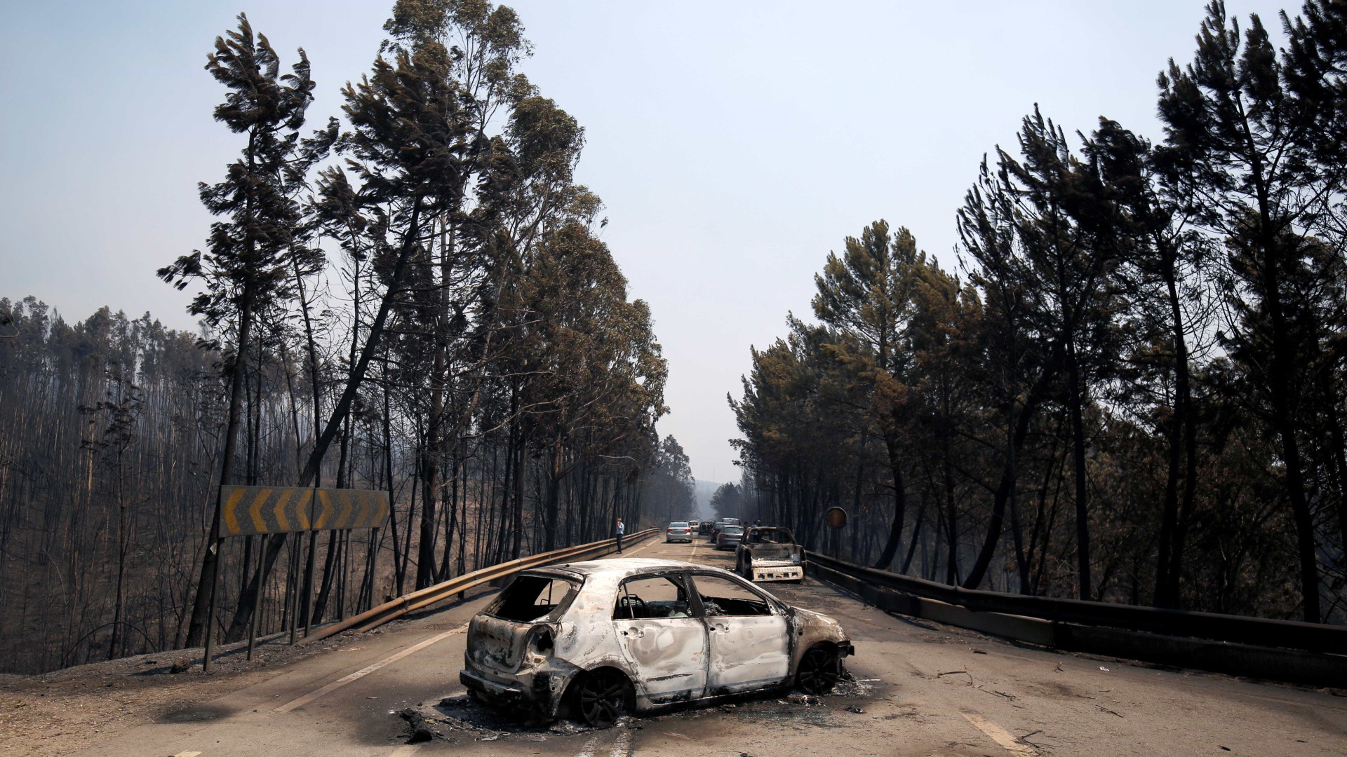 Incêndio mata pelo menos
62 pessoas em Portugal