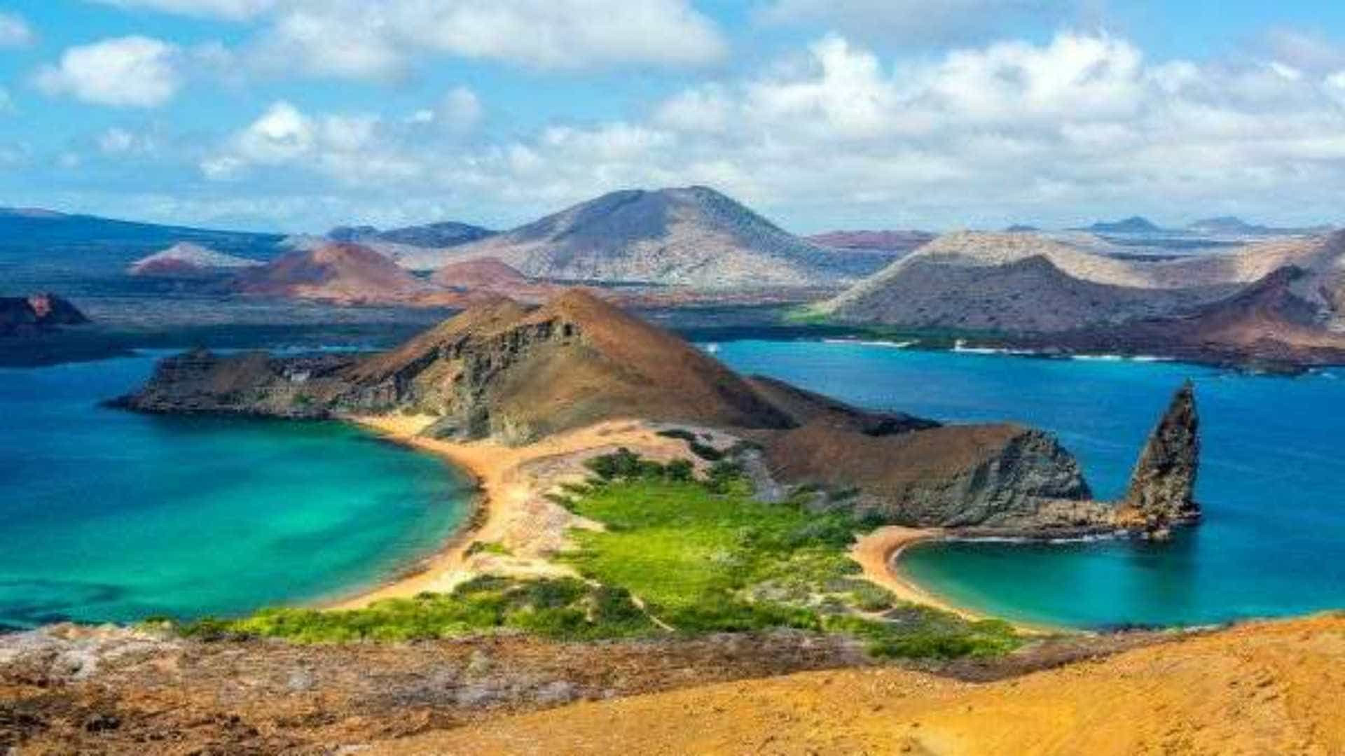 Galápagos: a fauna exuberante do arquipélago eternizado por Darwin