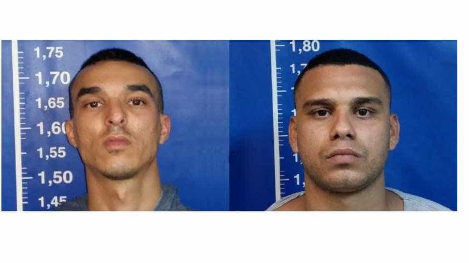 Polícia prende membros de quadrilha que roubou carga de queijos