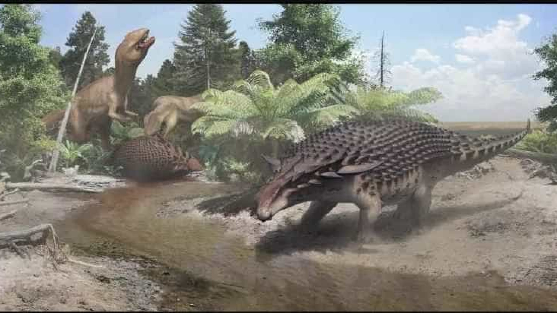 Escavação descobre fósseis de dinossauro raro nos EUA