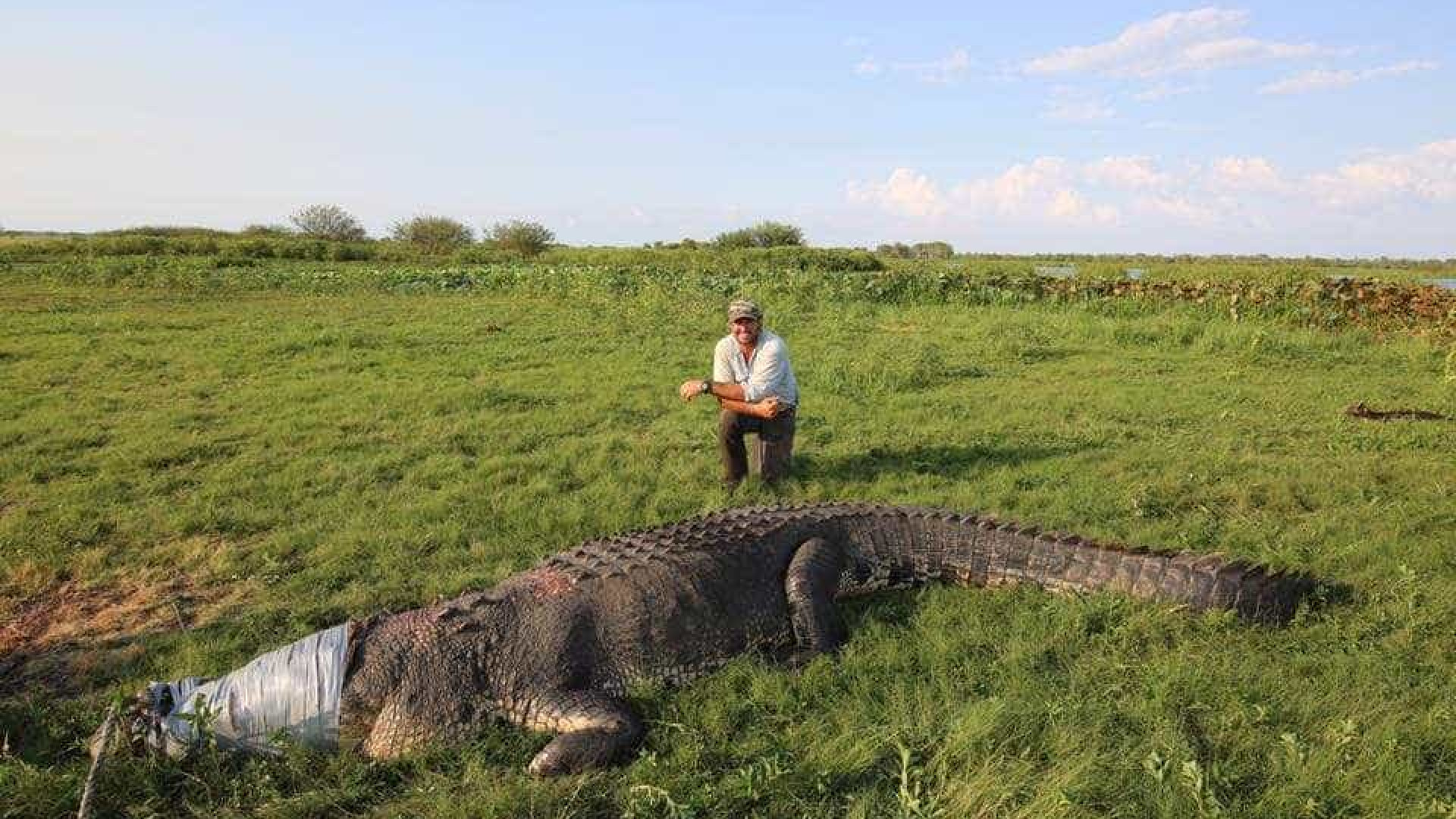 Crocodilo de 500 kg ataca câmera de aventureiro na Austrália
