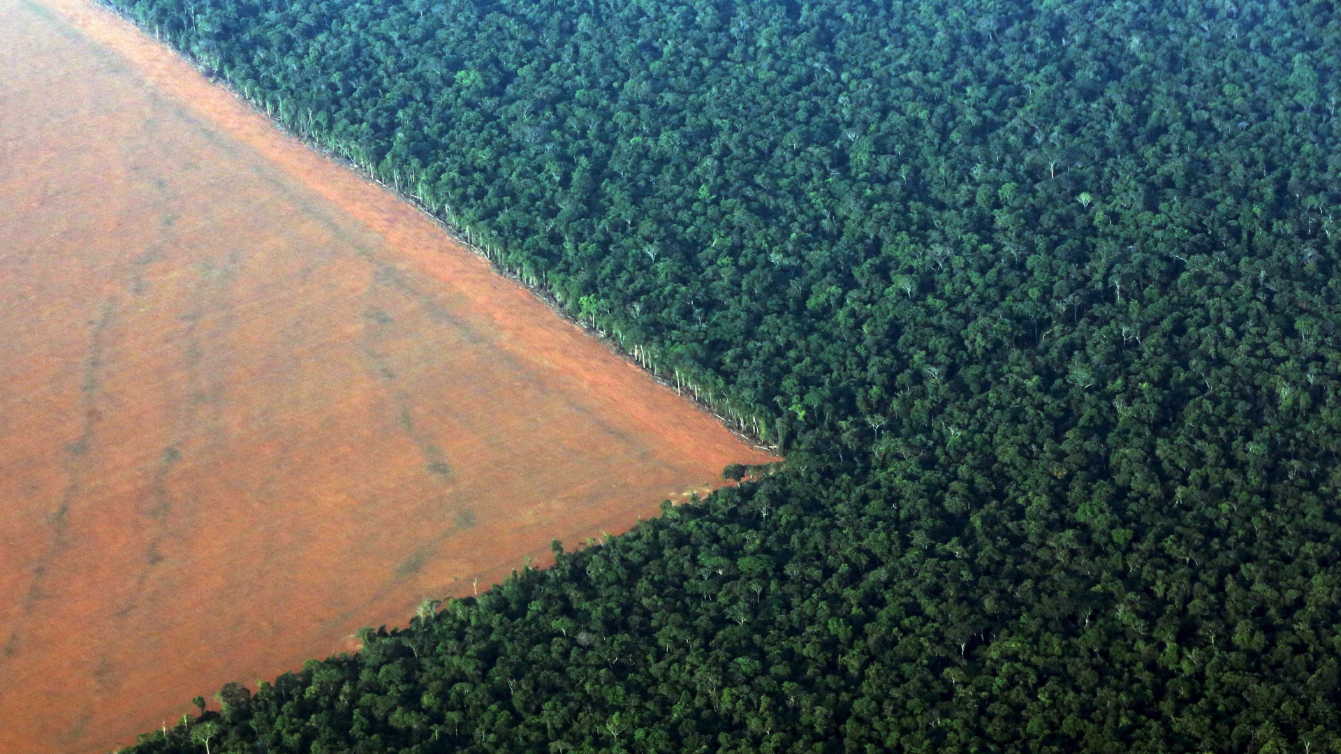 MPF no Amapá move ação contra decreto que extinguiu reserva naom 59a6acc8354bb - MPF no Amapá move ação contra decreto que extinguiu reserva