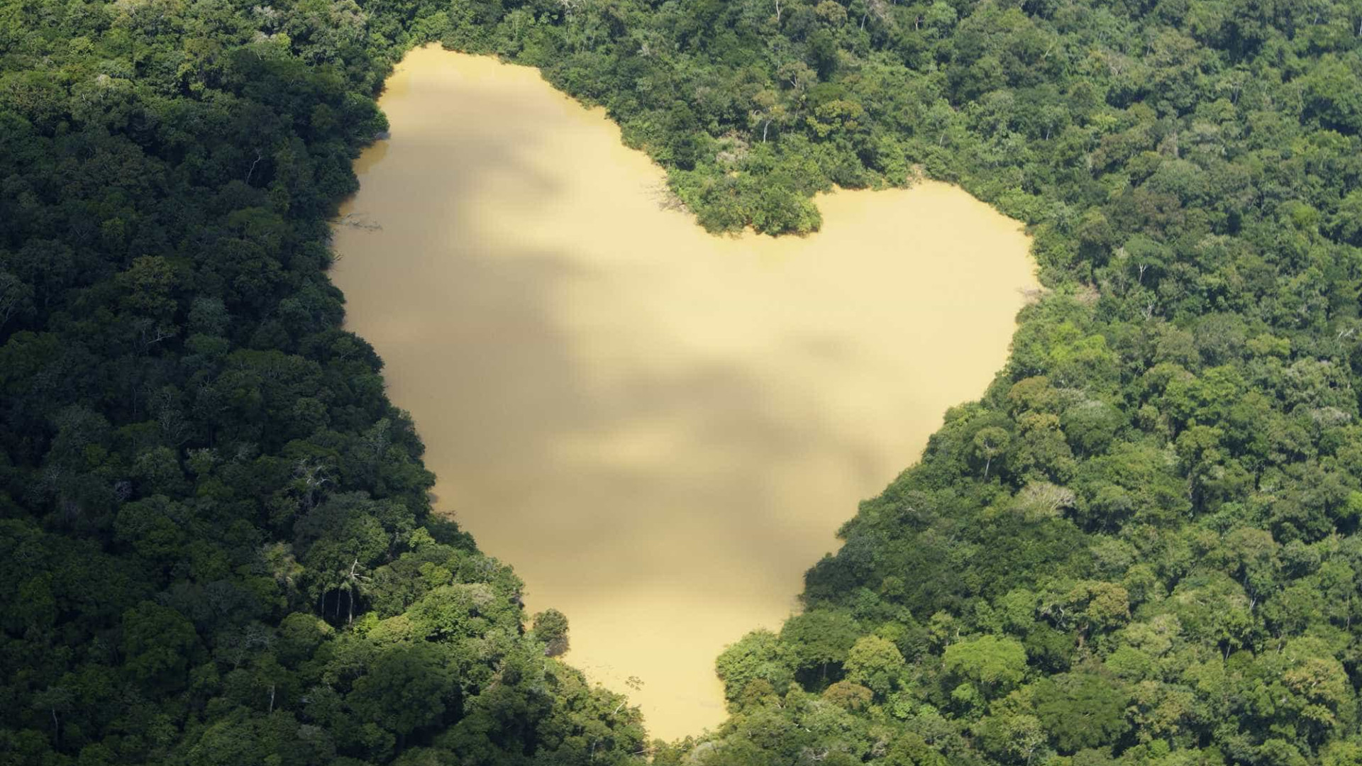 Governo Temer anuncia redução de 16% no desmatamento da Amazônia