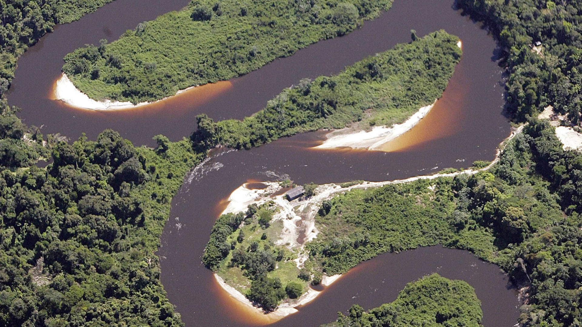 MPF ingressa com 757 ações por desmatamento ilegal na Amazônia