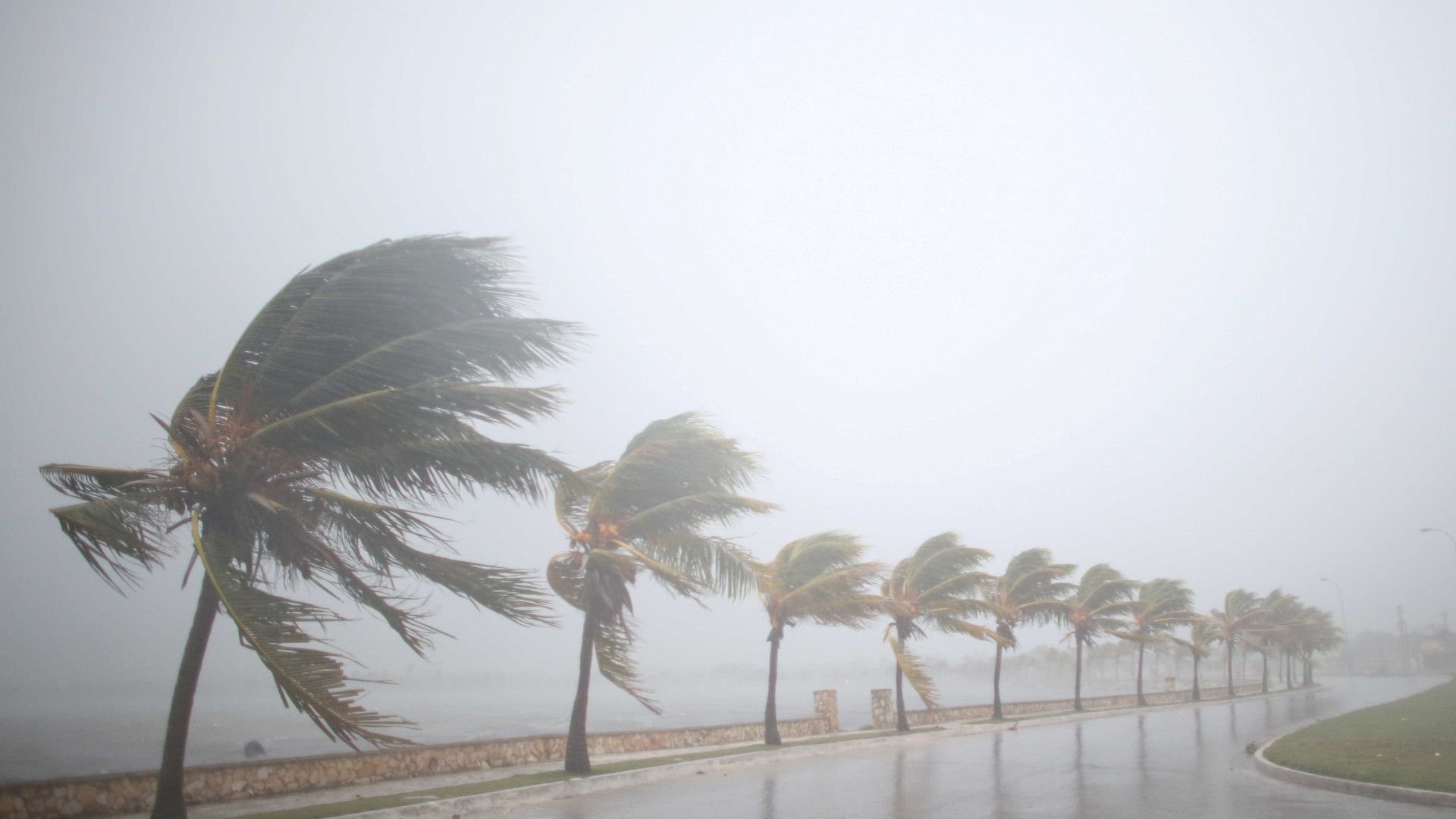 "Se decidirem ficar, não vão sobreviver ao Irma", adverte governador