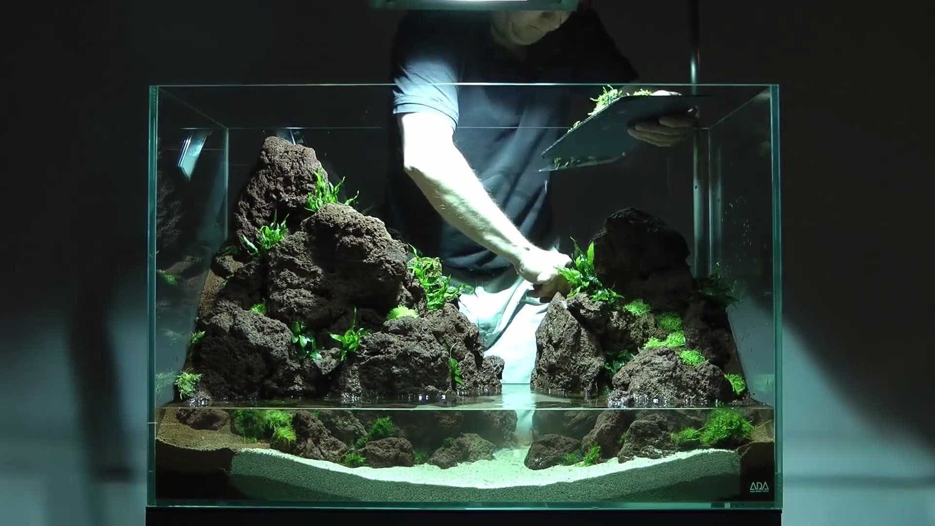 Aprenda a construir um aquário impressionante