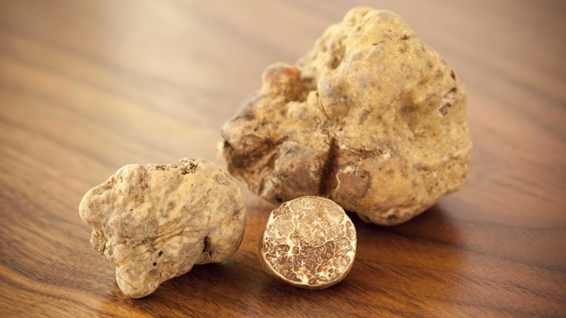 Trio de trufas brancas é vendido por 75 mil euros em leilão