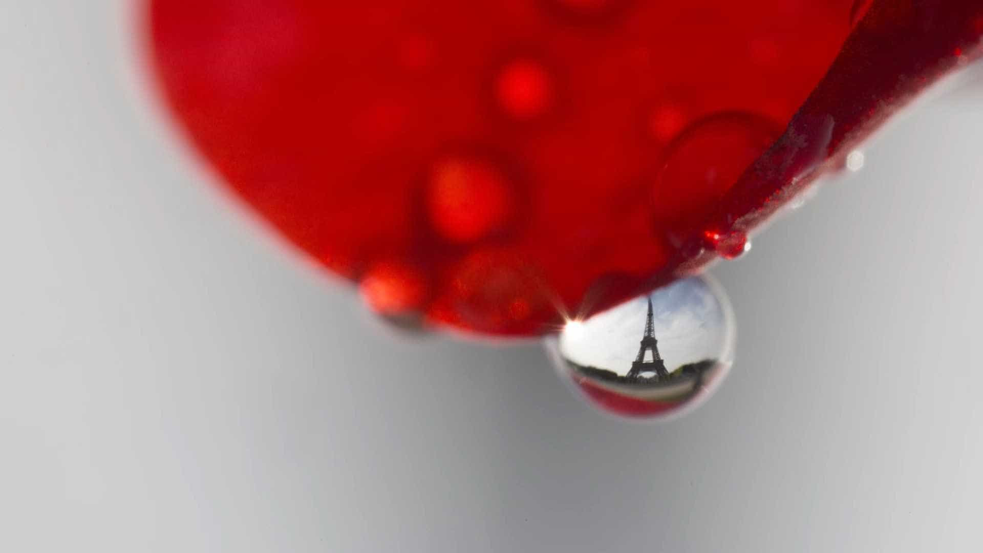 Fotógrafo registra monumentos de Paris vistos através de gotas de água