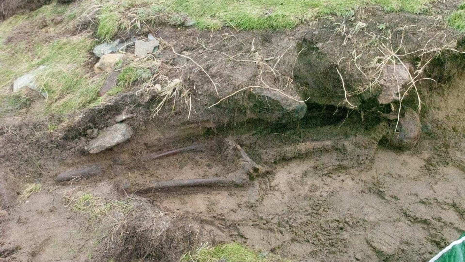 Furacão Ophelia desenterra esqueleto antigo ainda com pele