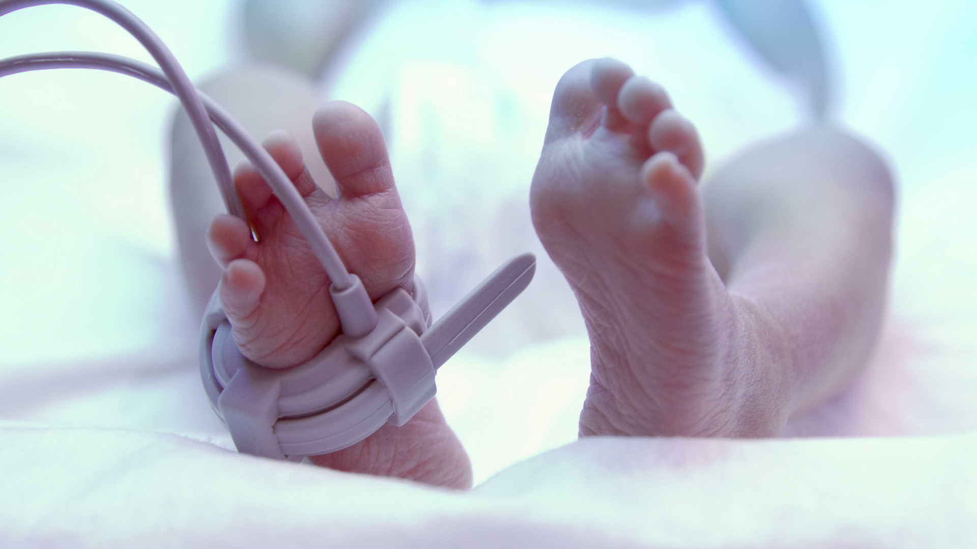 Incêndio atinge maternidade e bebês são levados em incubadoras