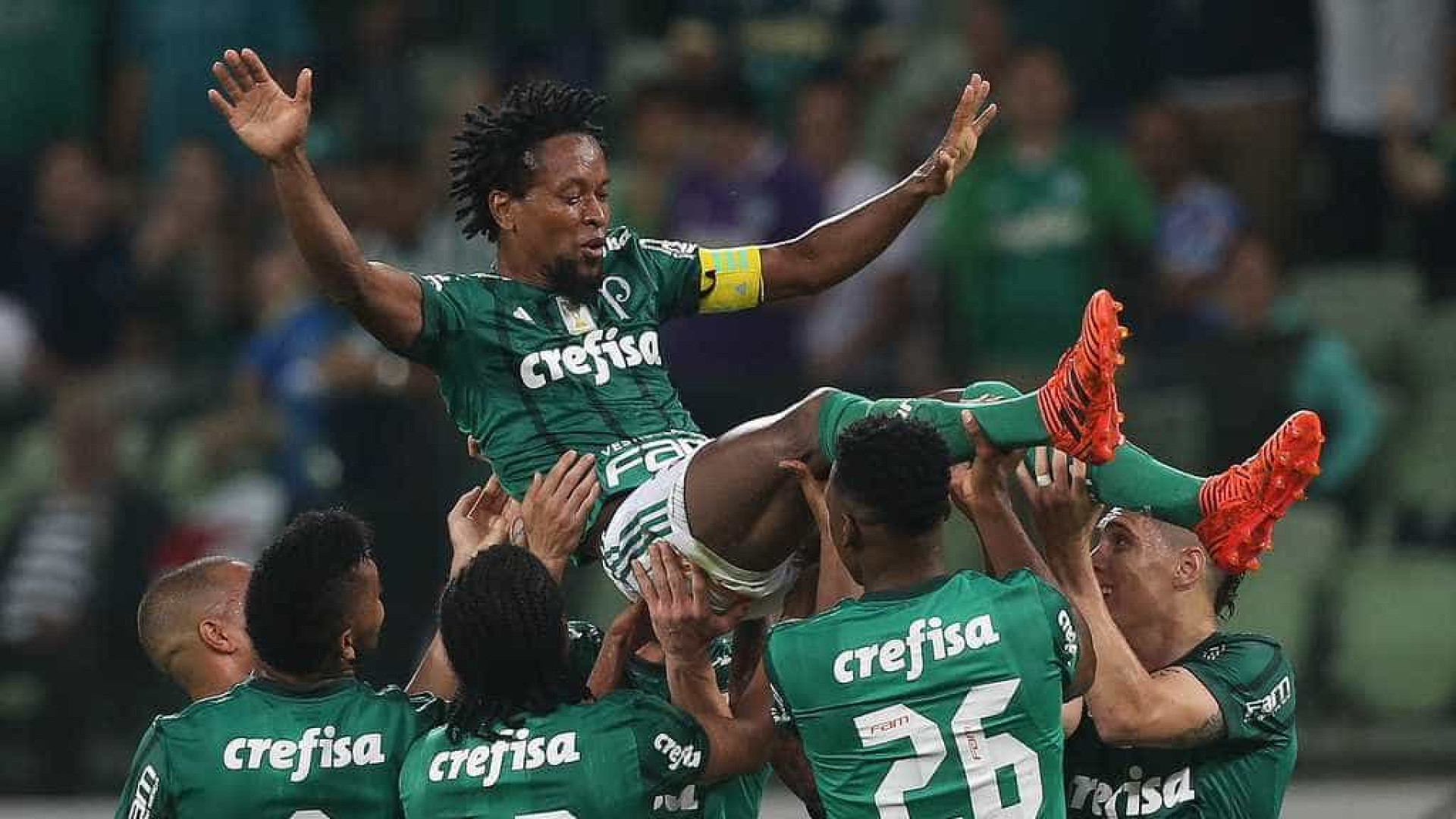 Palmeiras bate Botafogo em dia de homenagens a Zé Roberto