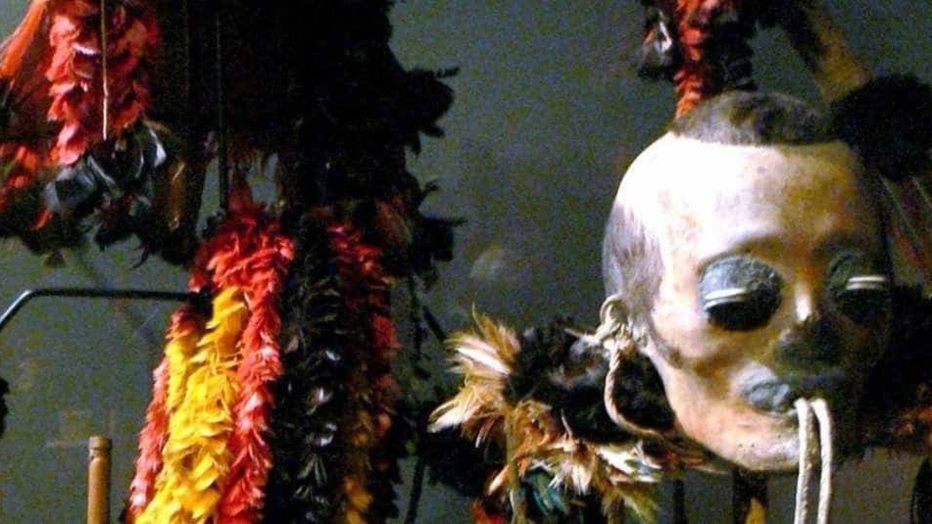 Museu de Viena expõe cabeça de índio brasileiro e vira alvo de críticas