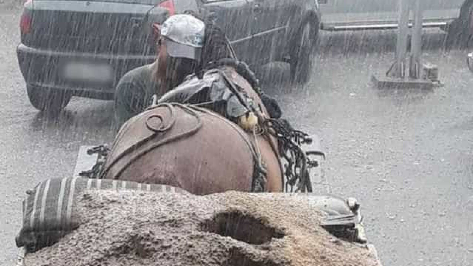 Homem protege cavalo na chuva e viraliza: 'Meu melhor amigo'