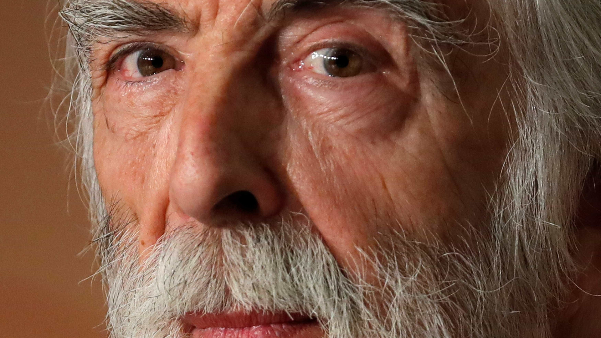Campanha #MeToo levou a 'caça às bruxas', diz Michael Haneke