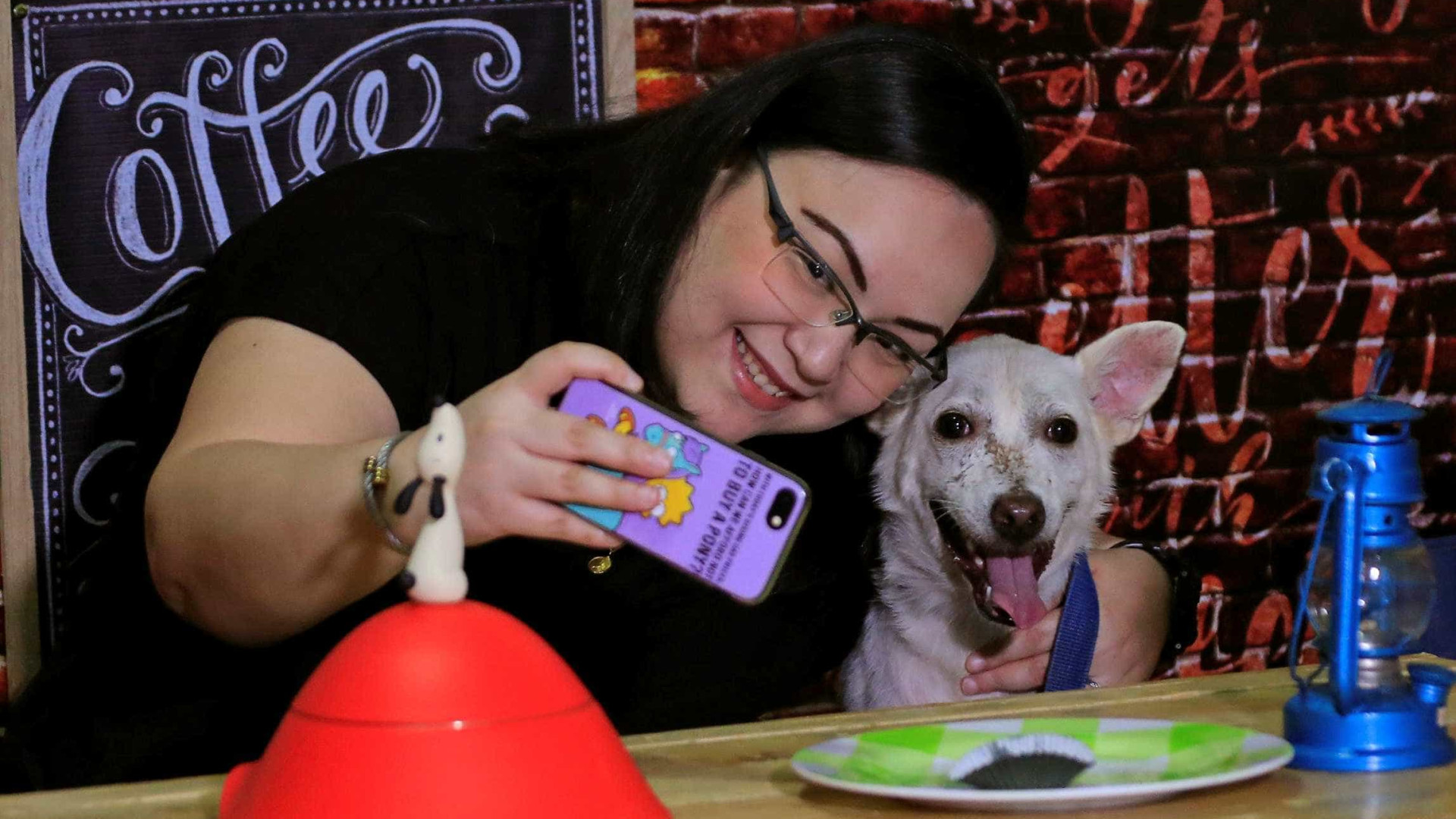 ONG filipina faz encontro com animais no Dia dos Namorados
