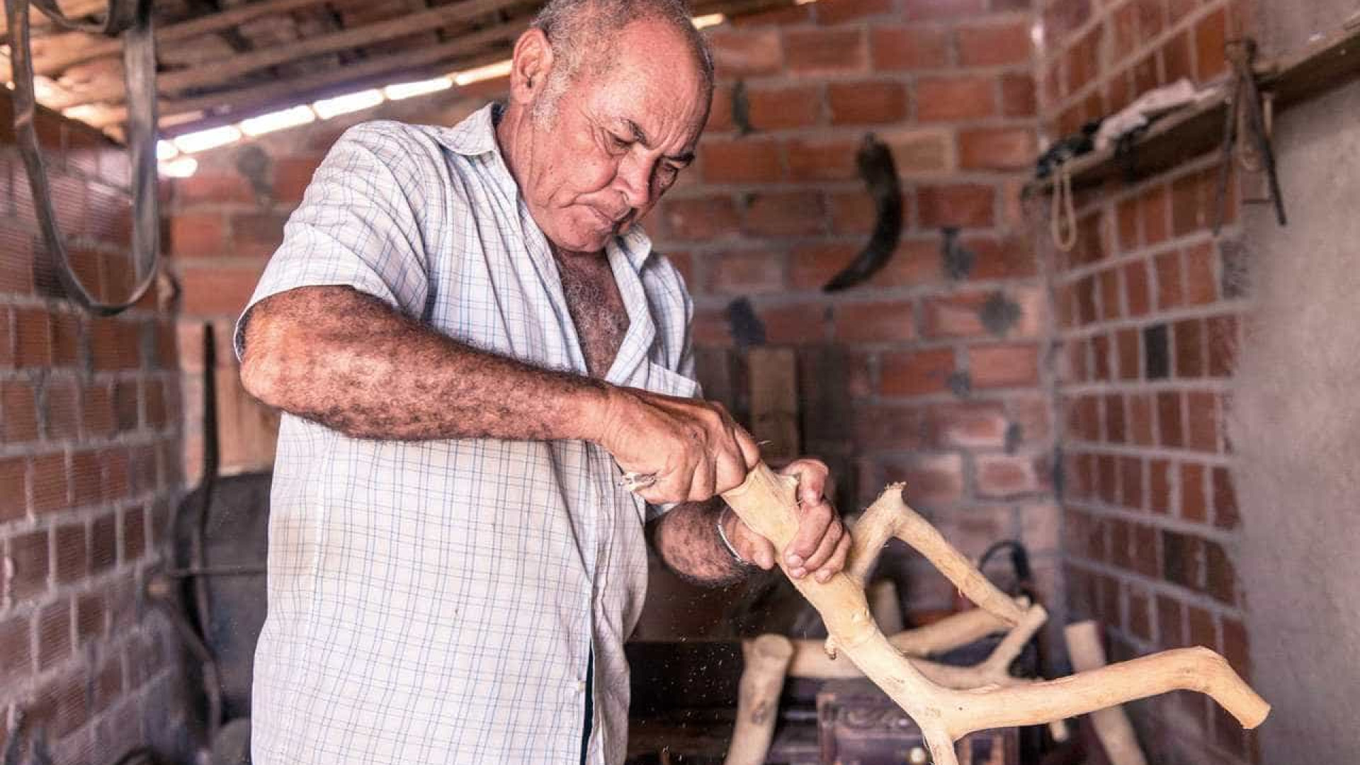 Exposição em SP reúne 270 peças do escultor sergipano Véio