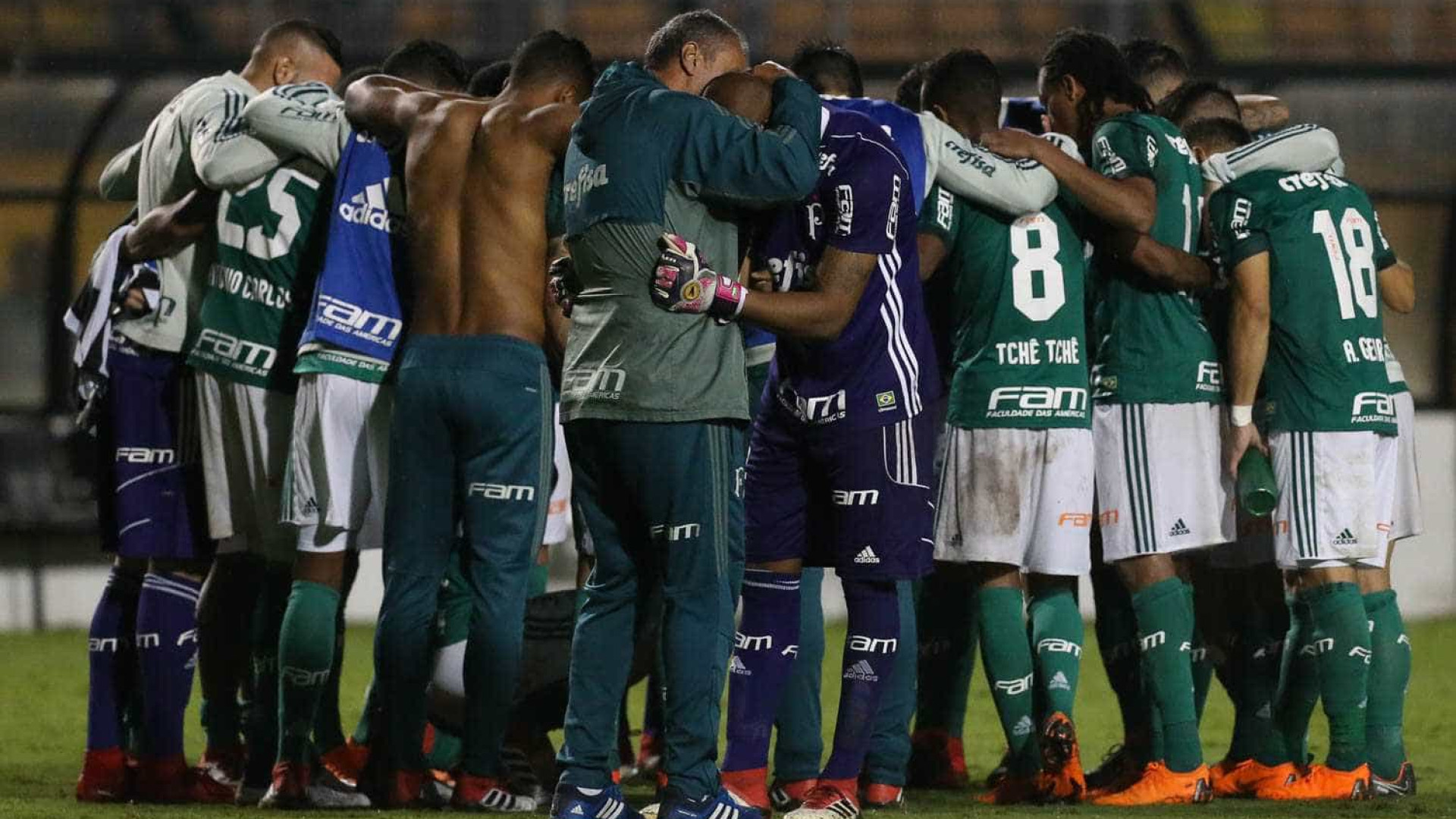 Palmeiras elimina o Santos e vai à final do Paulistão 2018