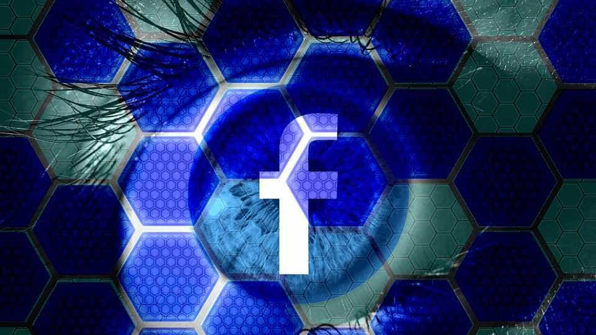 Facebook dificulta distinção entre conteúdos amador e profissional