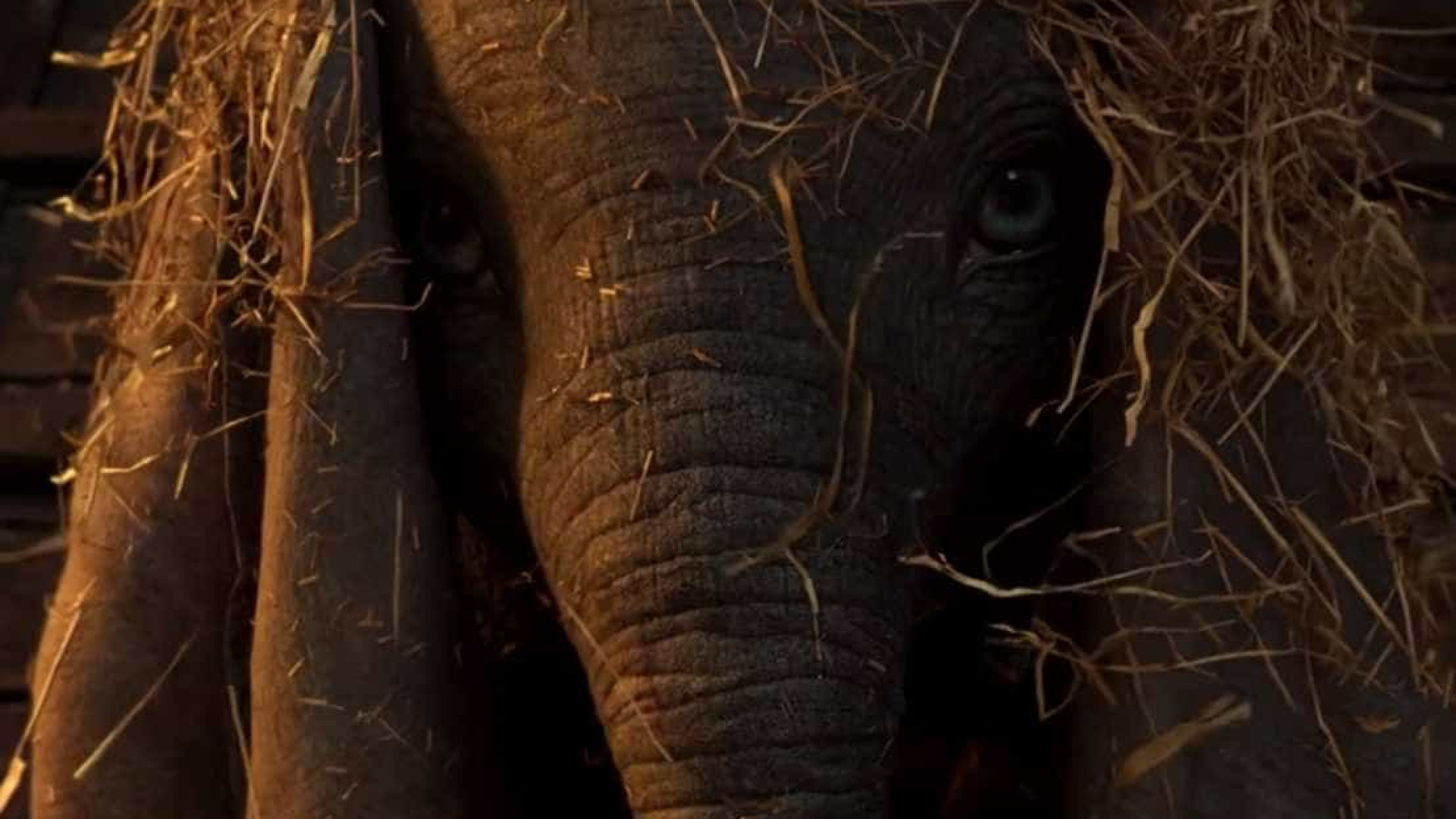 Nova versão de 'Dumbo', clássico da Disney, ganha 1º trailer