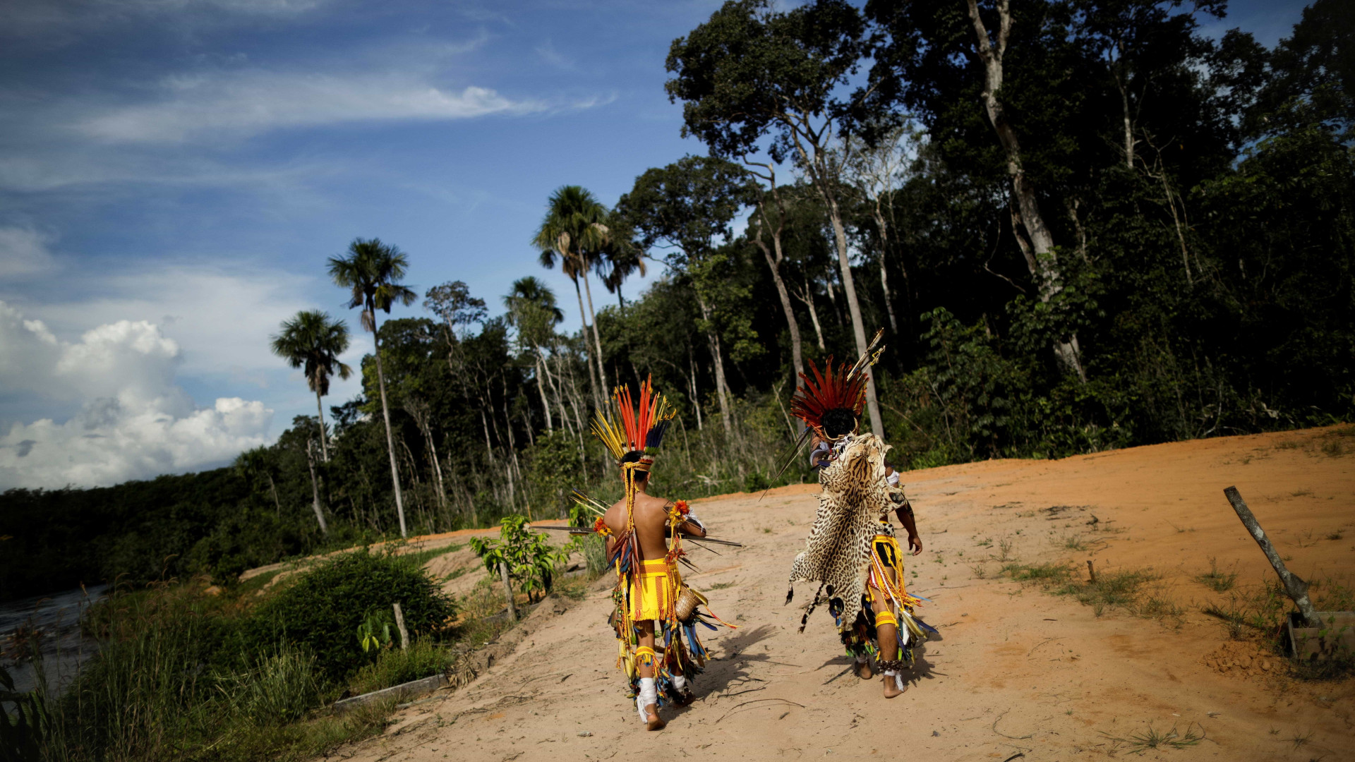 'RemÃ©dio do mato' alivia mais a dor de Ã­ndios, diz pesquisa