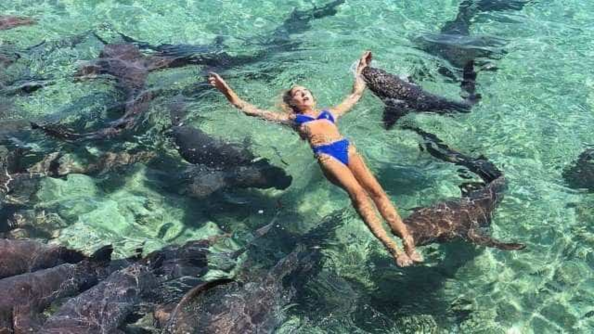 Mulher é mordida por tubarão ao tirar foto nas Bahamas