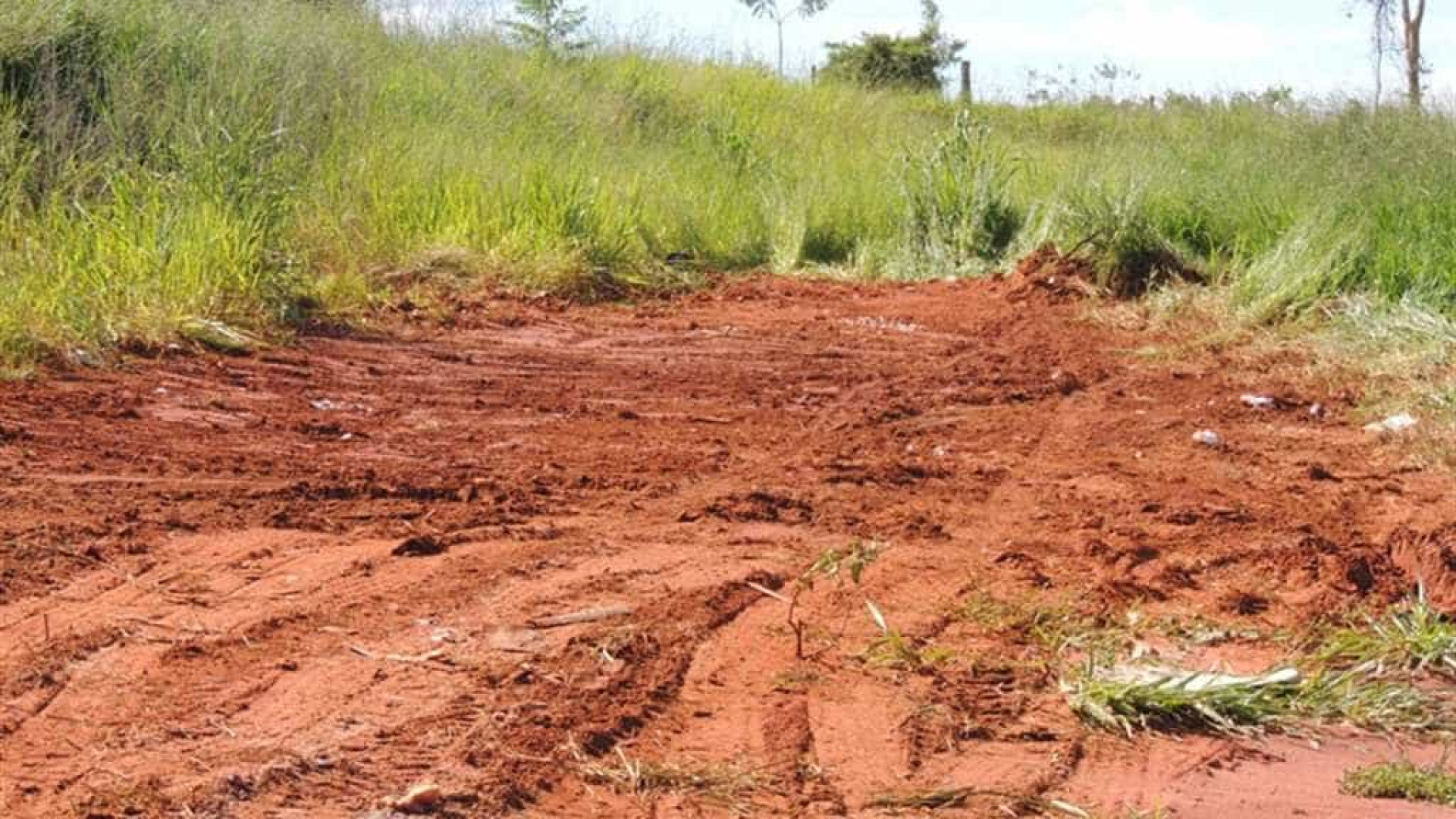 Ossada humana é encontrada em terreno baldio em Belém