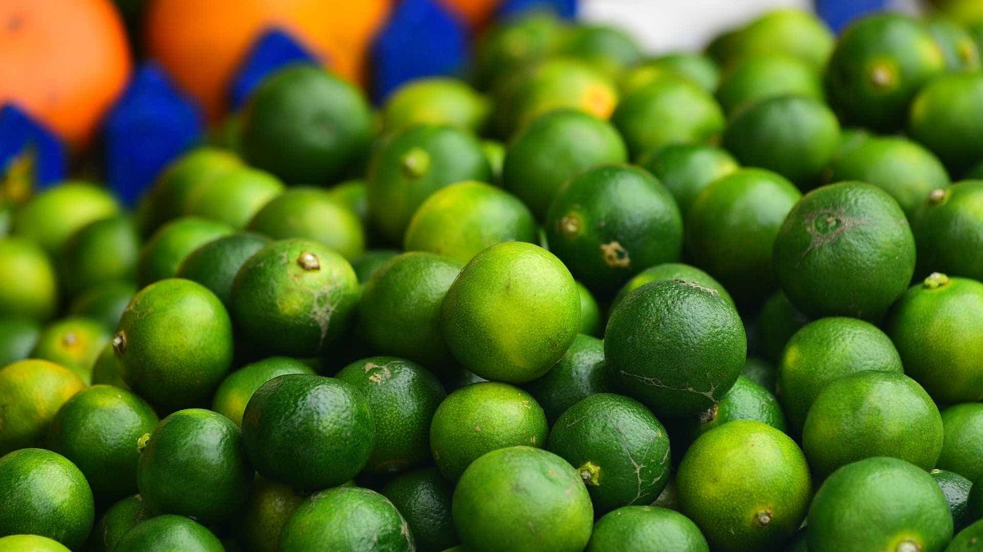 Em meio a limões frescos, Receita pega 656 quilos de cocaína