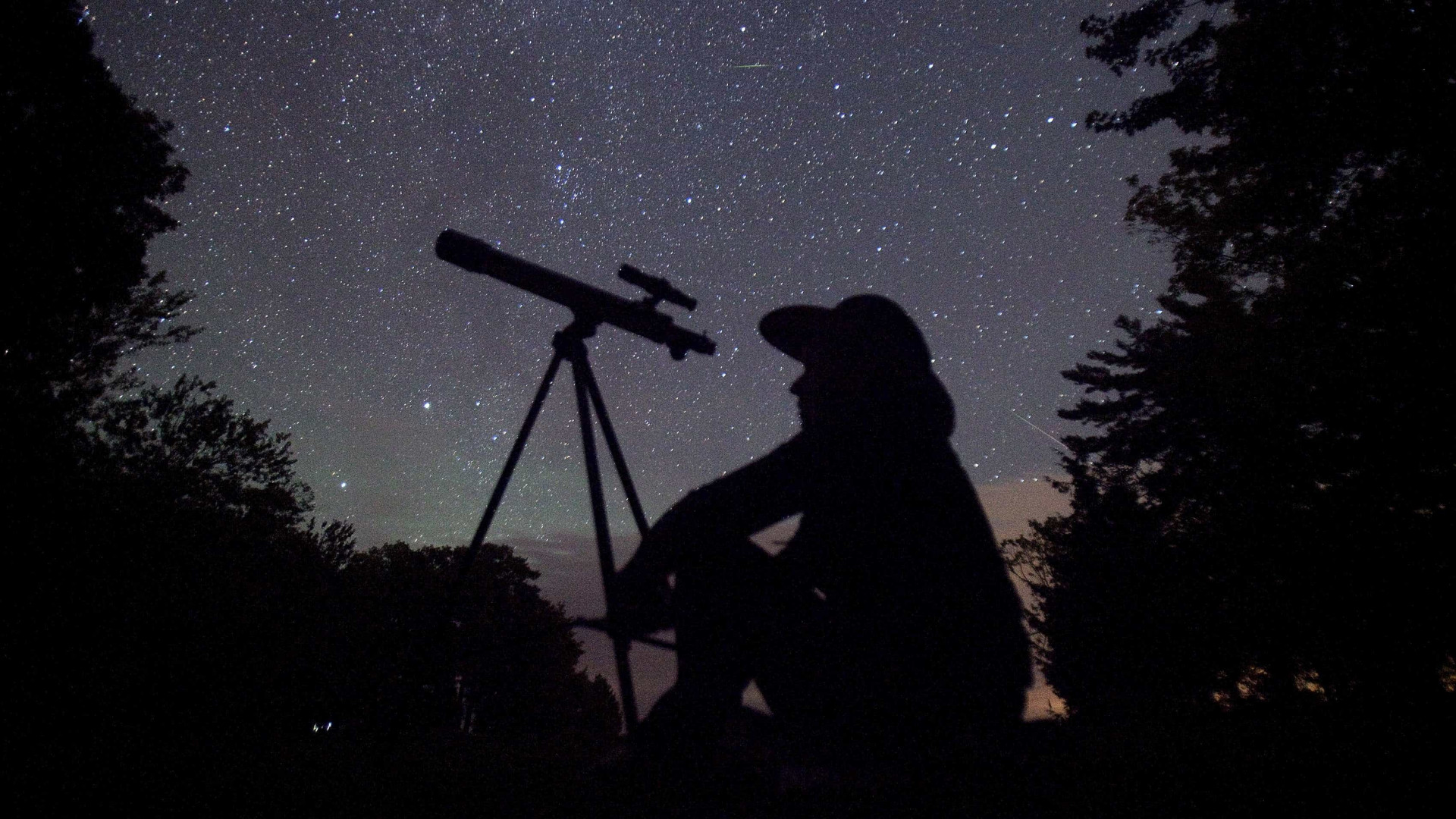 Brasileiros poderão observar chuva de estrelas cadentes neste mês