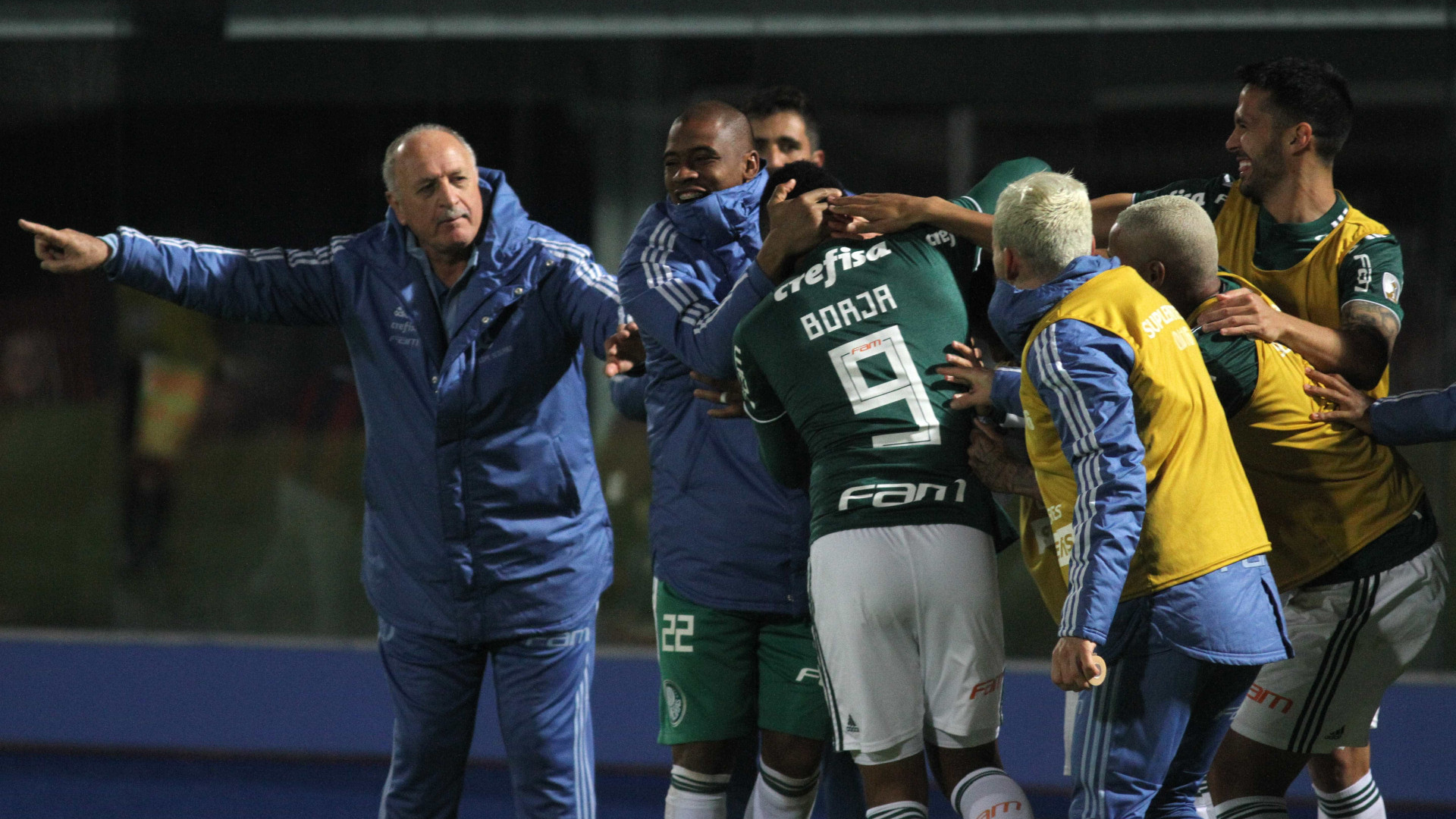 Futebol: Palmeiras brilha na Libertadores e Vasco cai na Sul-Americana