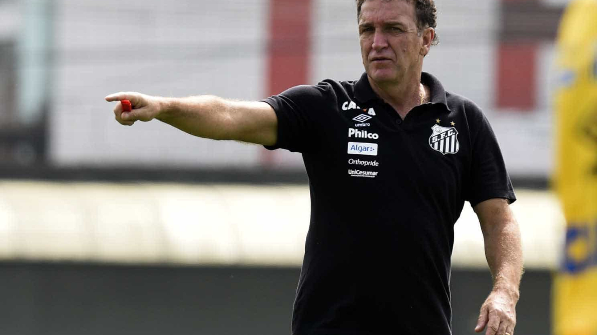 Em Palmeiras x Santos, Cuca defende invencibilidade contra Felipão