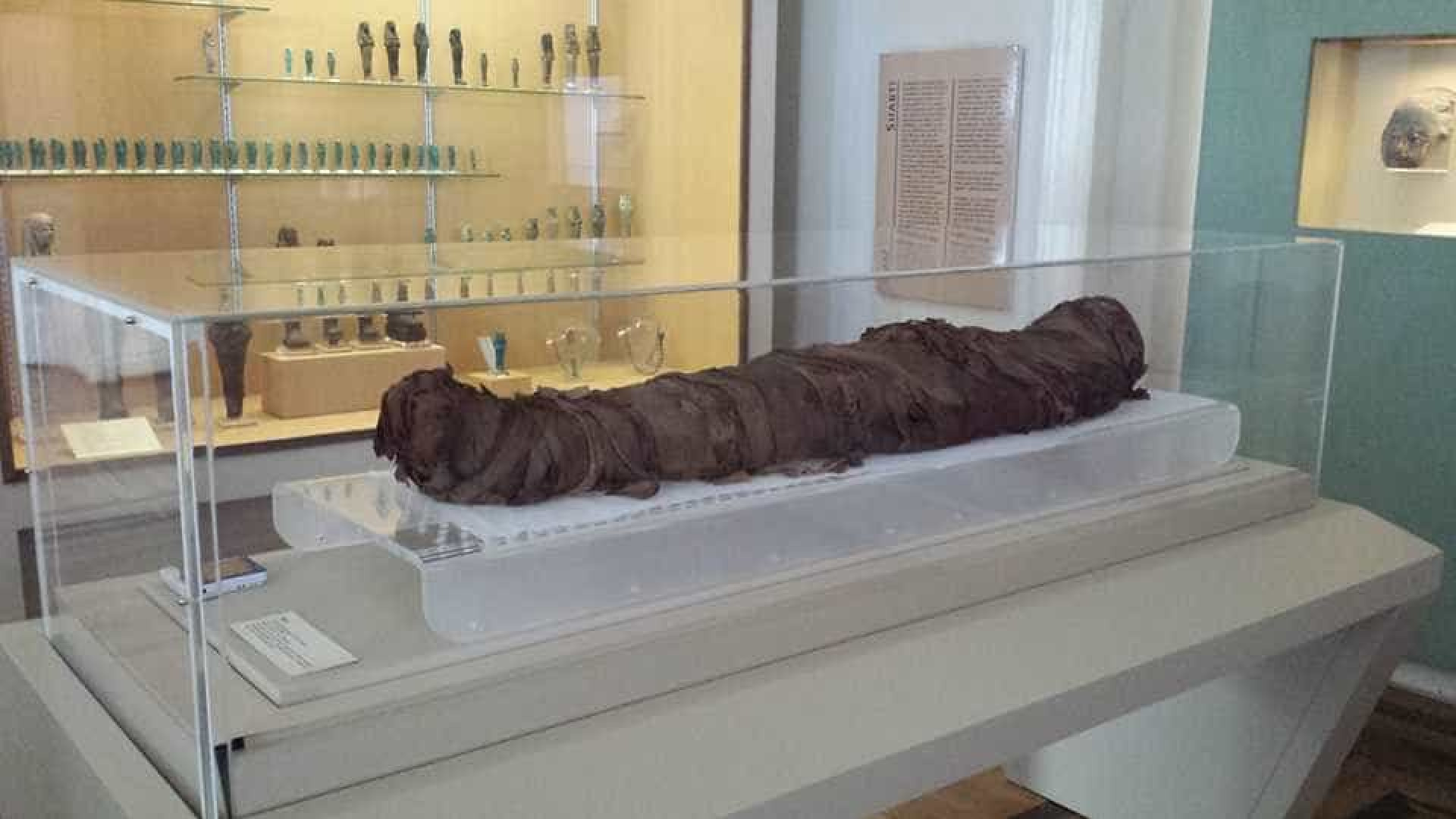 Museu Nacional do Rio é considerado o 5º maior do mundo em acervo