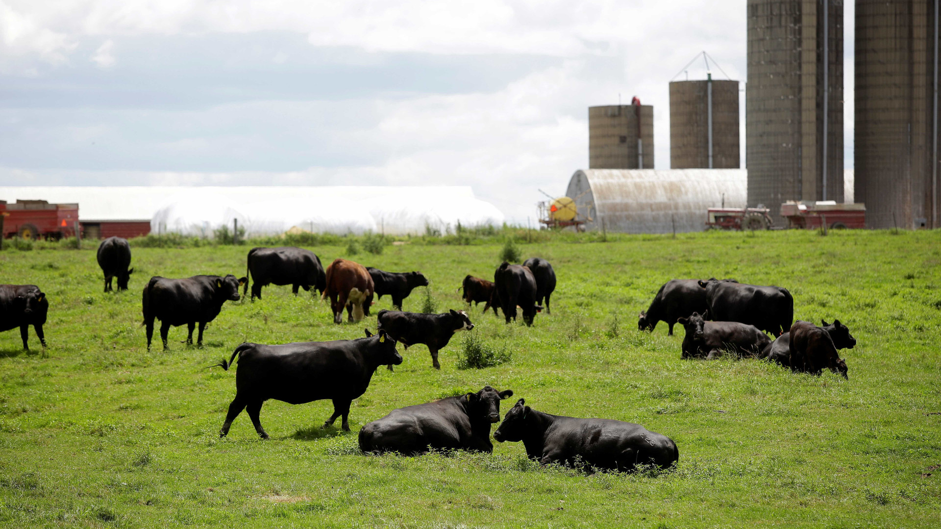 Estado agrícola enfrenta dilema da guerra comercial