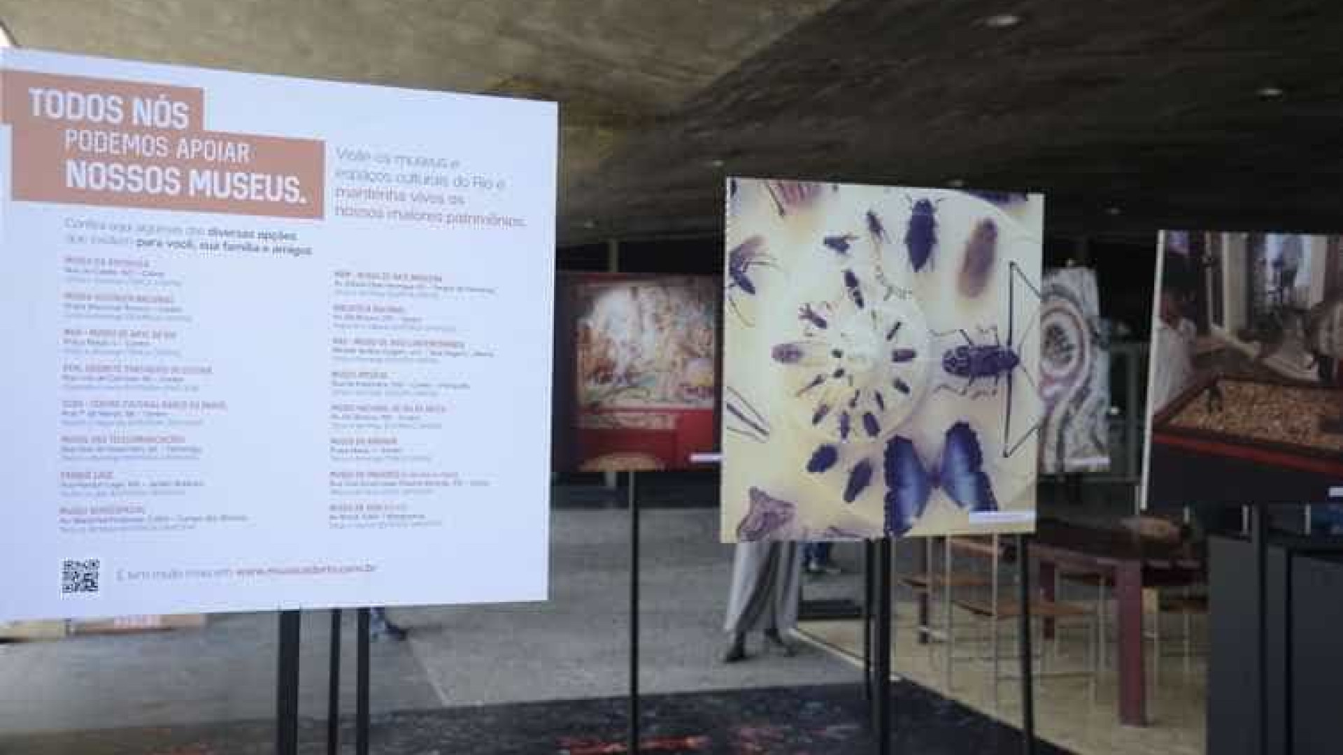 Instalação no MAM presta homenagem ao Museu Nacional