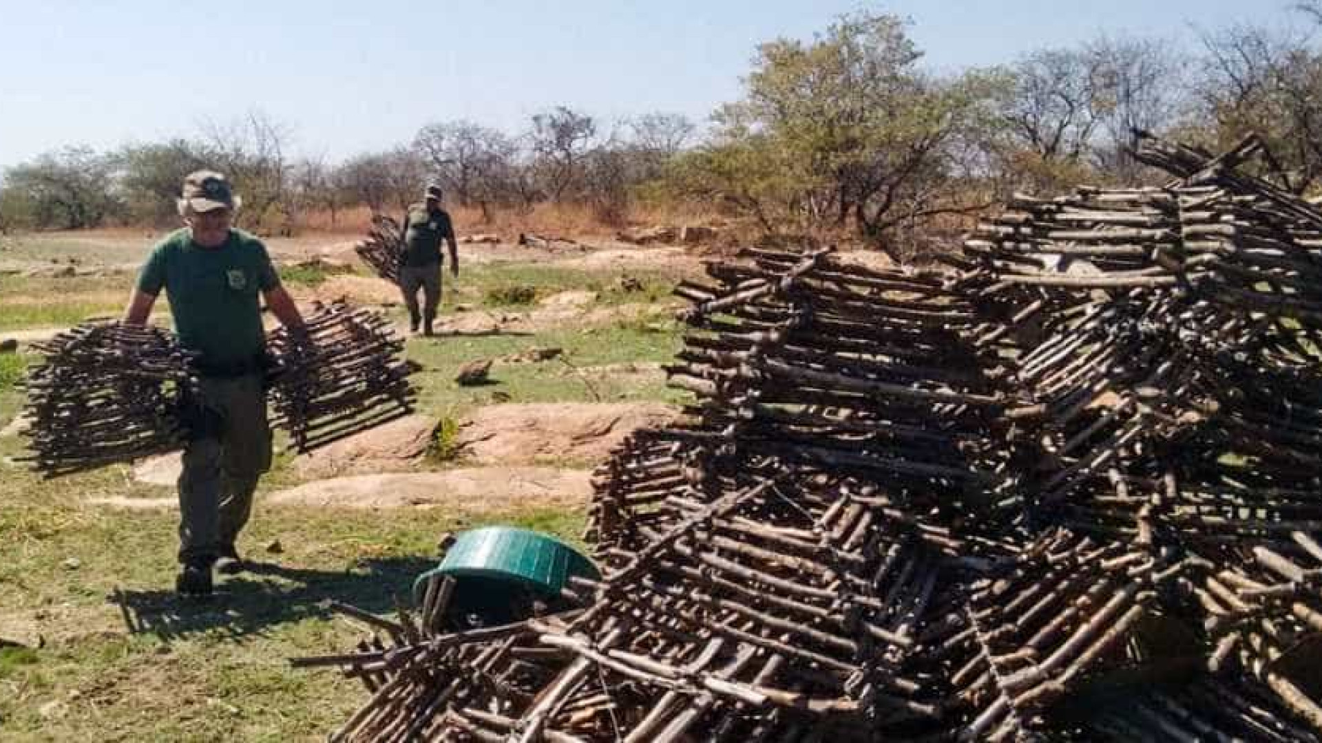 Ibama evita tráfico diário de cerca de 64,4 mil aves silvestres na PB