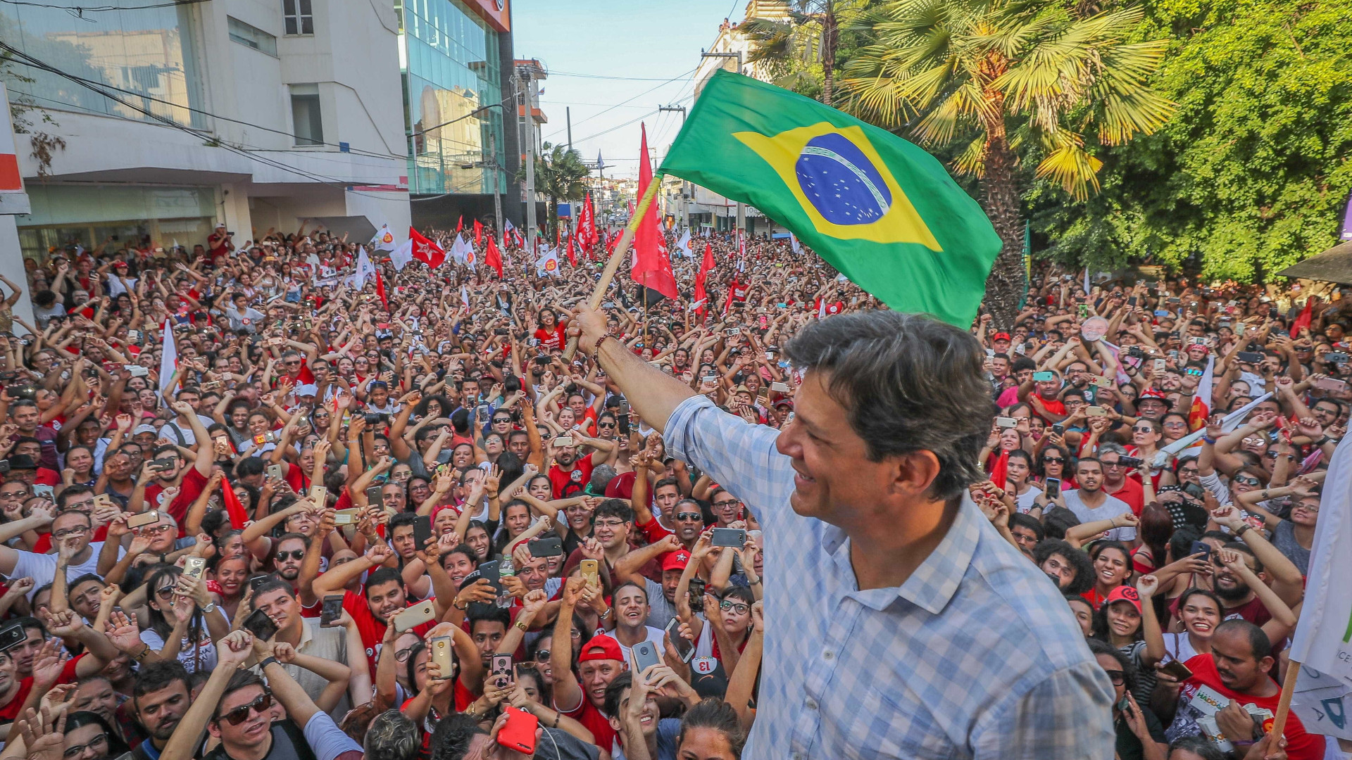 Haddad para eleitores: 'Vale a pena votar em Bolsonaro só por ódio?'
